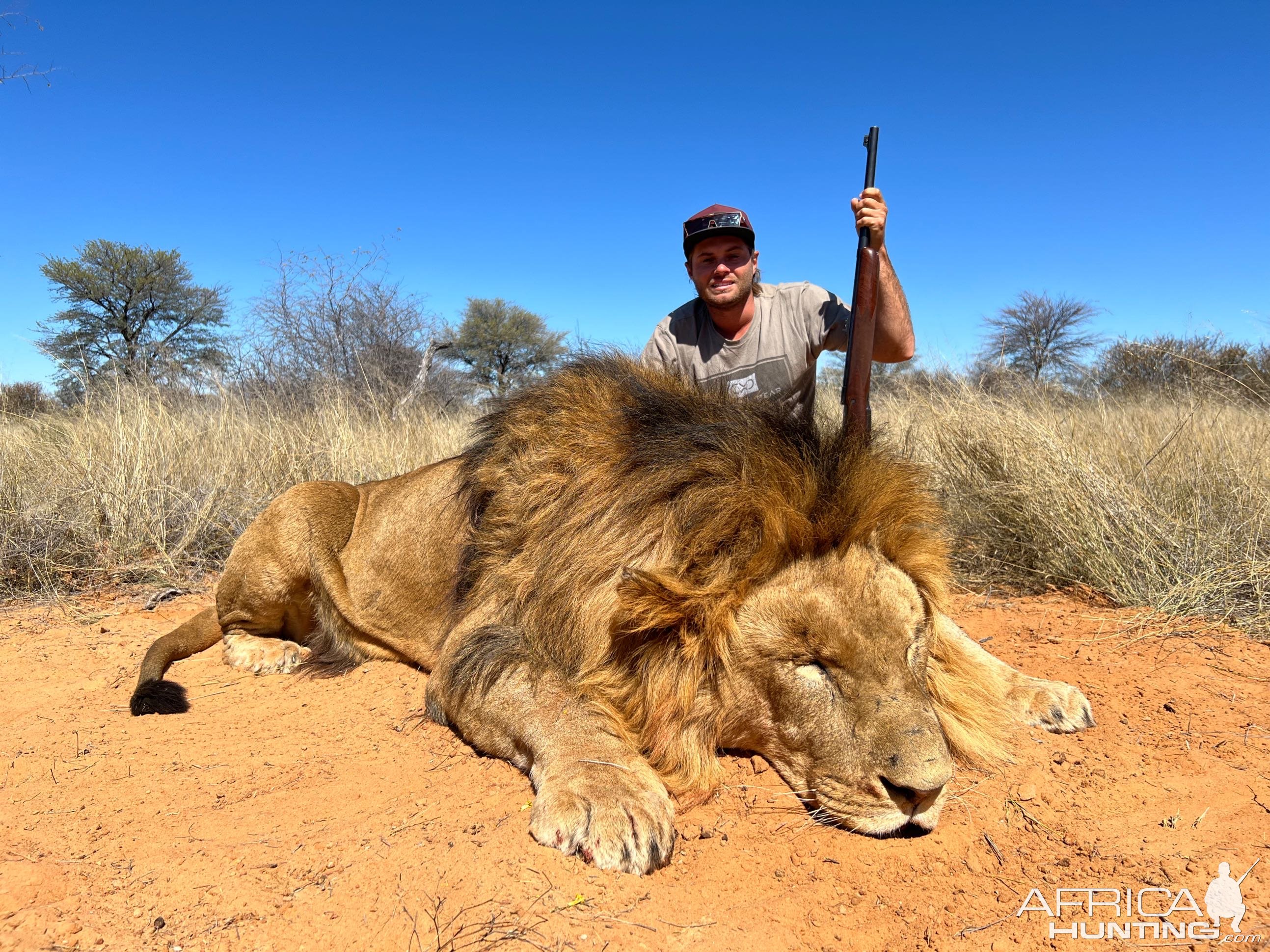 Lion Hunting South Africa