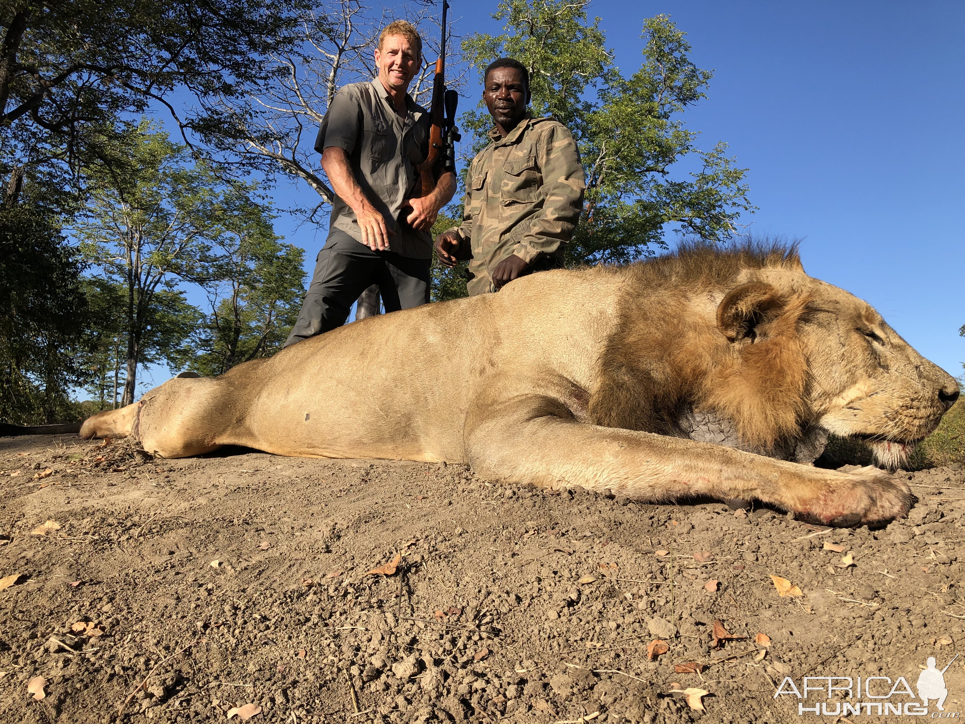 Lion Hunting Zimbabwe