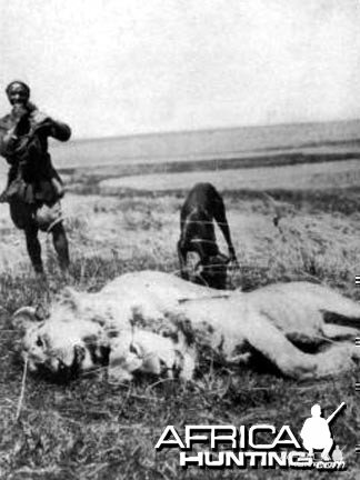 Lion Kill