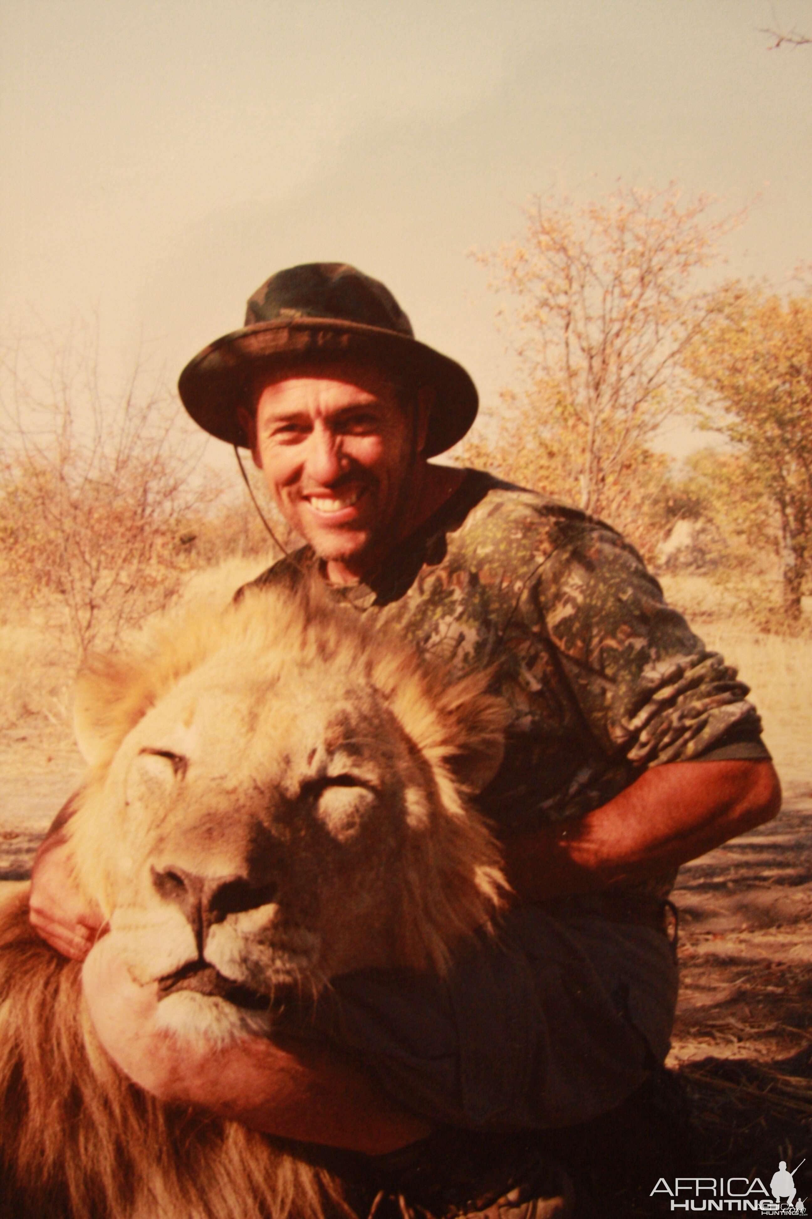 Lion Namibia