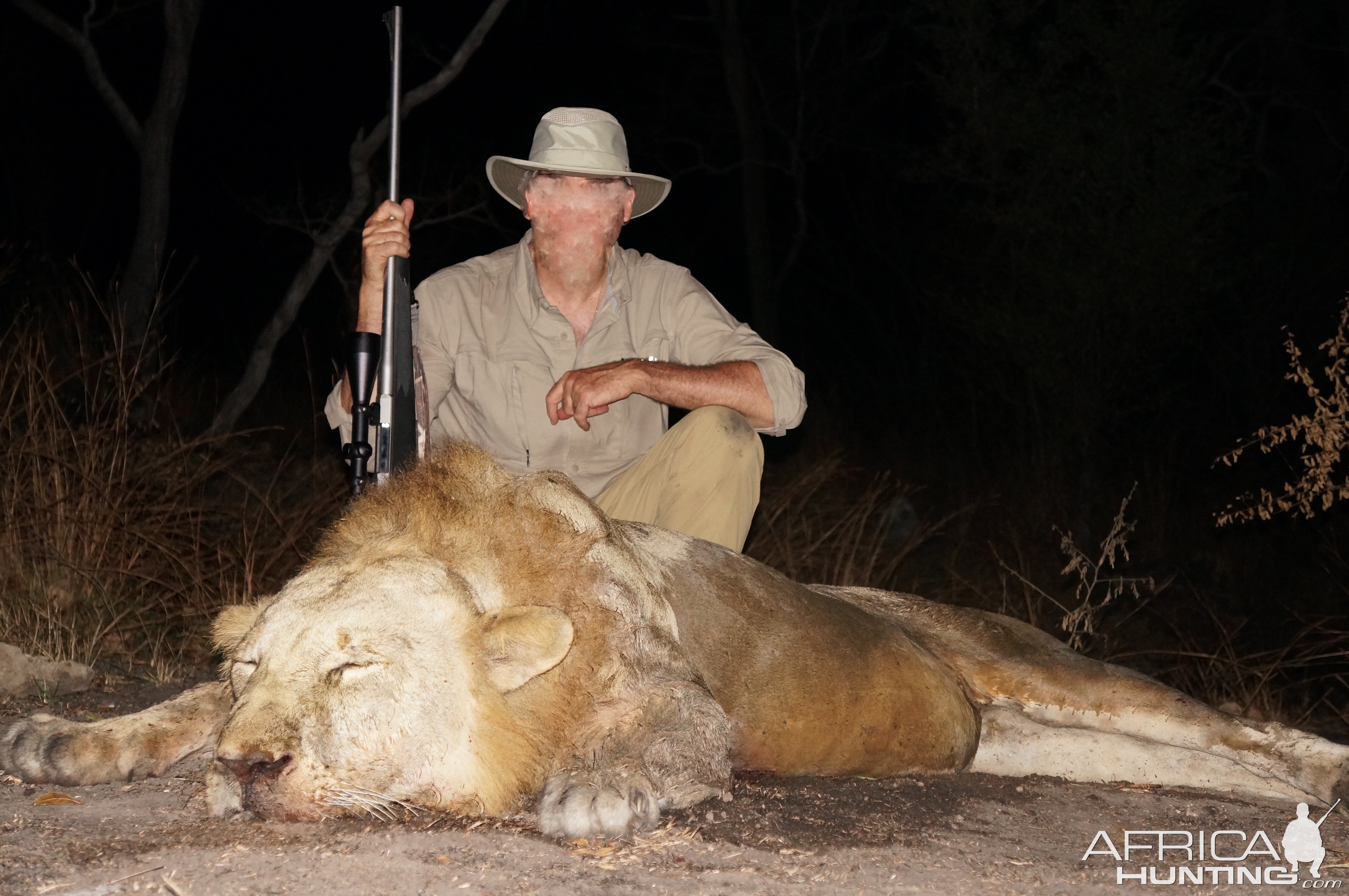 Lion - Selous