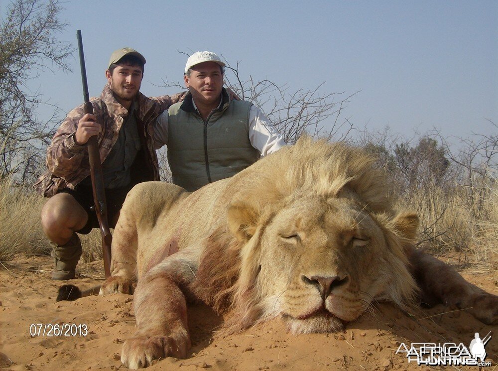 Lion with Savanna Hunting Safari's