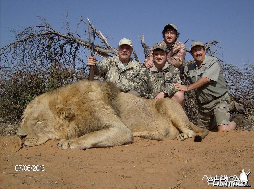 Lion with Savanna Hunting Safari's