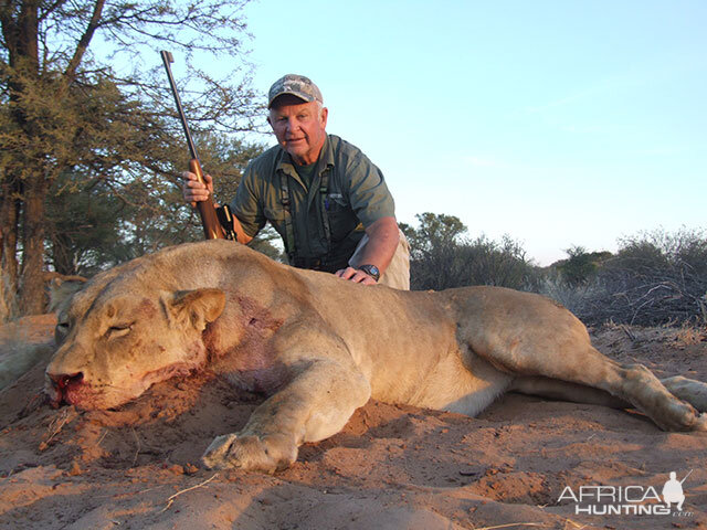 Lioness Hunt