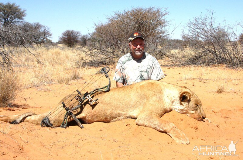 Lioness in the Kalahari!