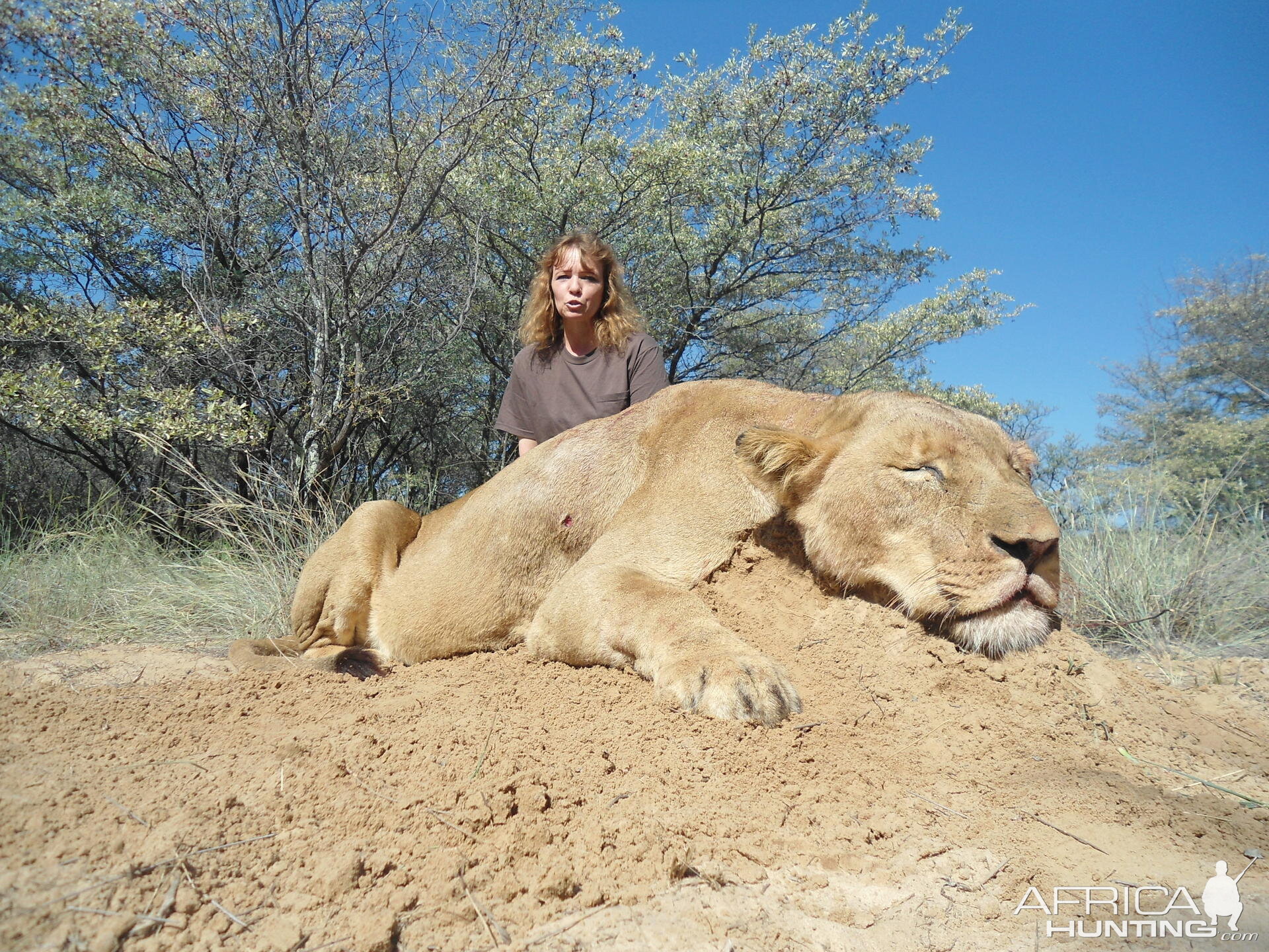 Lioness South Africa