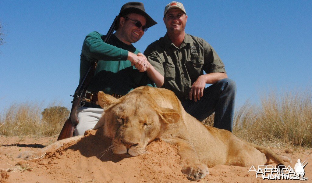 Lioness - Spiral Horn Safaris