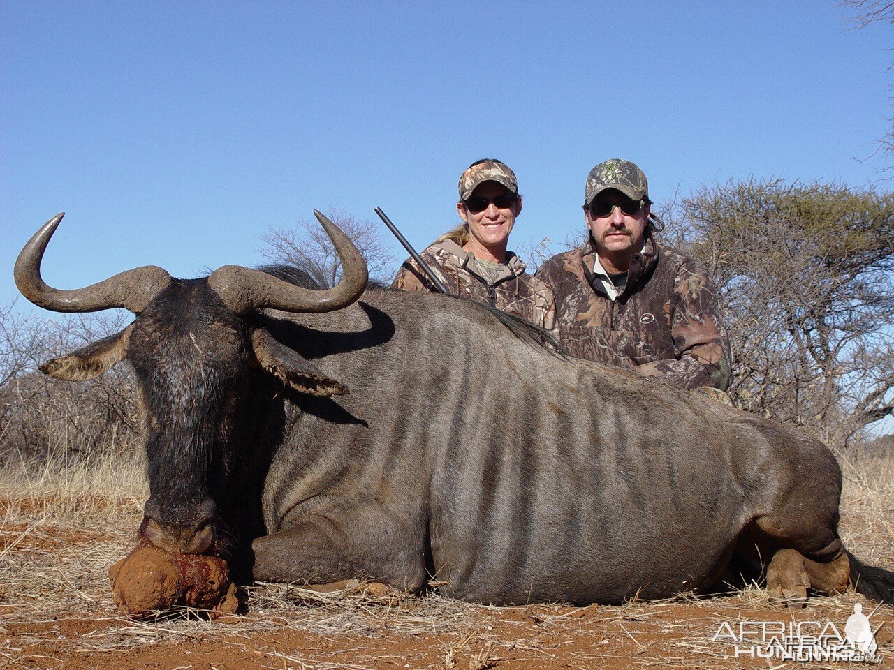Lisa's Blue Wildebeest with Limcroma Safaris 2009
