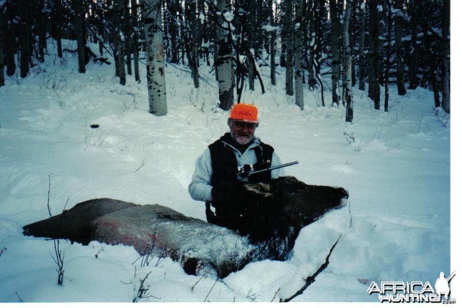 long shot on a cow elk