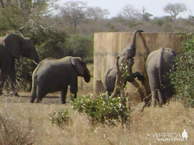 Looking for fresh water