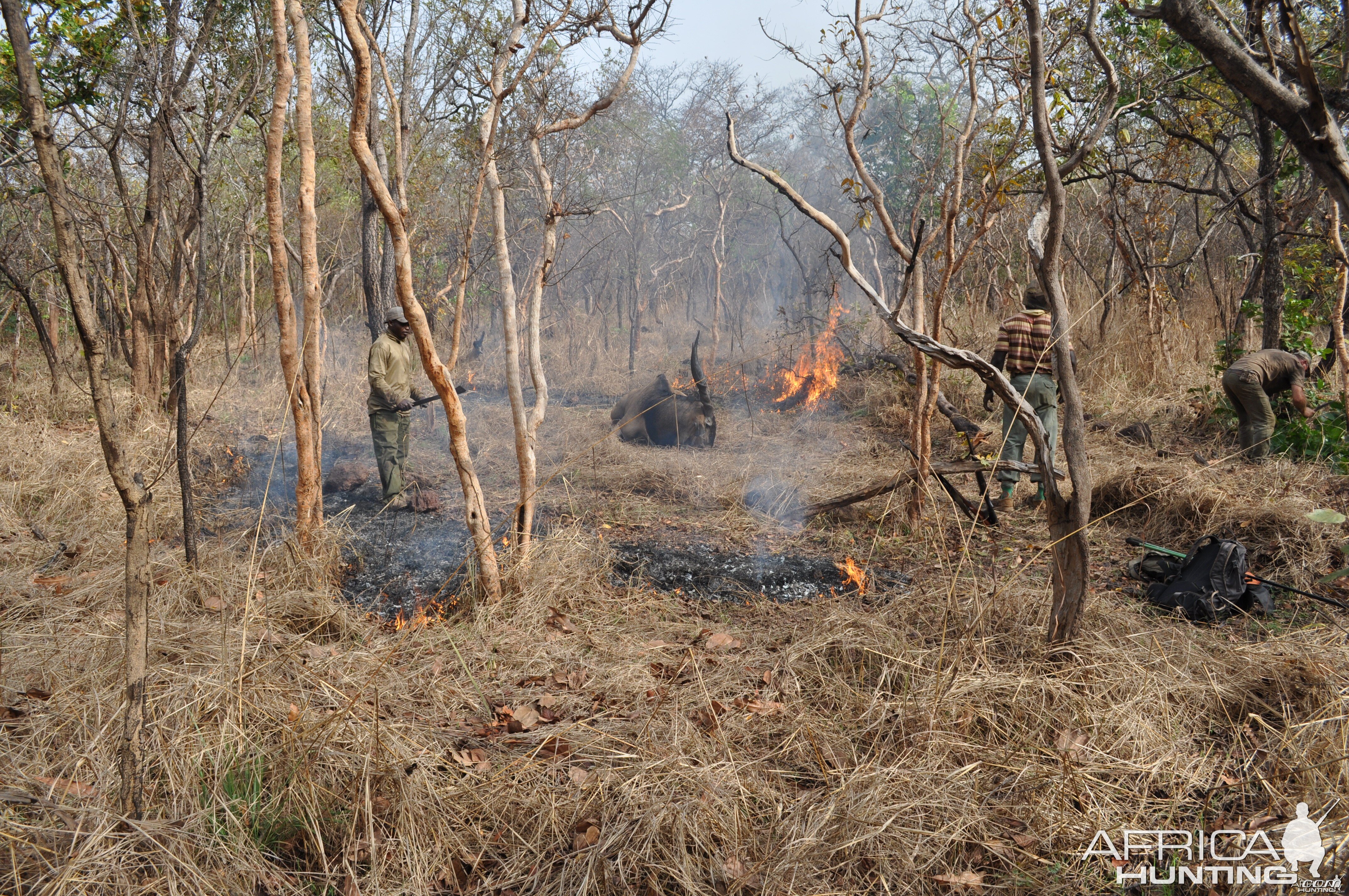 Lord Derby Eland hunt Central African Republic