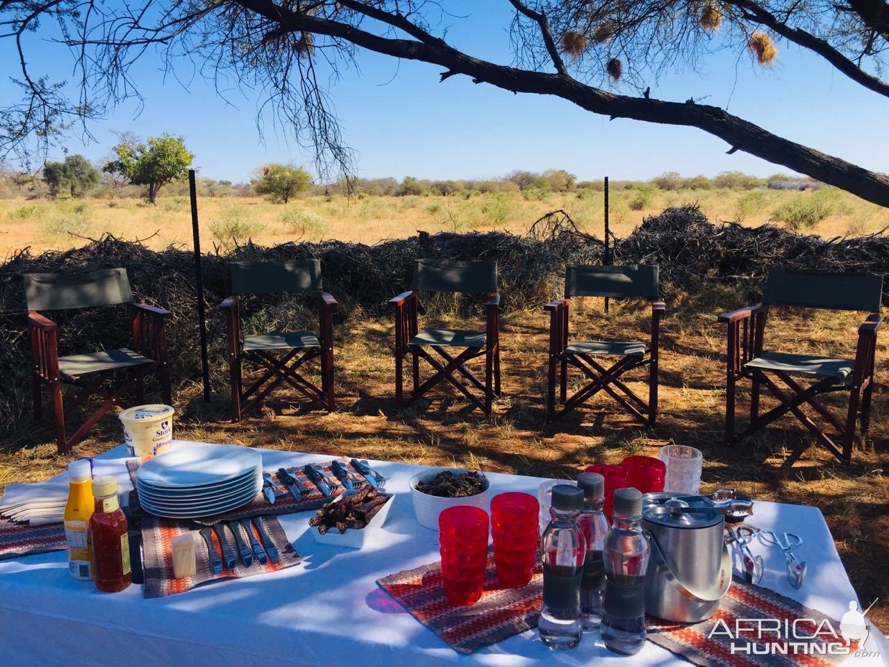 Lunch in bush