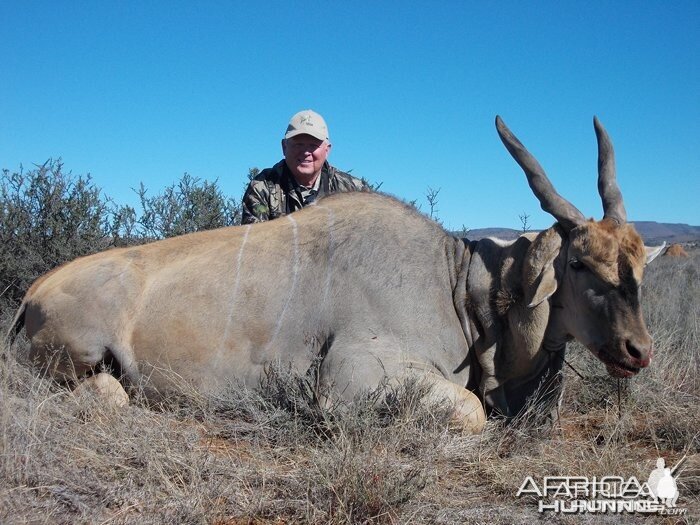 Lynn Stinson's Livingstone Eland shot with Induna Safaris, on the 18th July