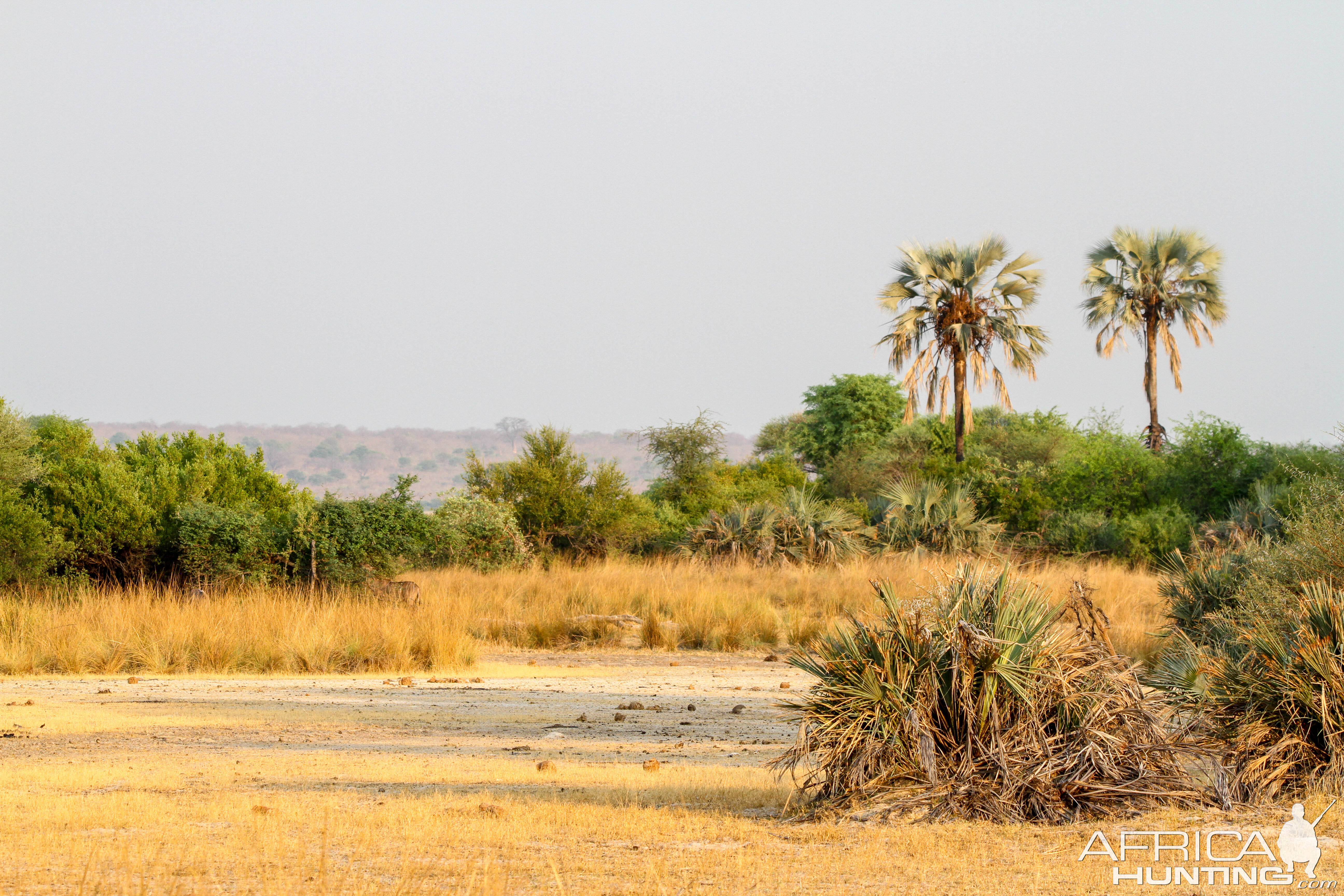 Mahango National Park Namibia