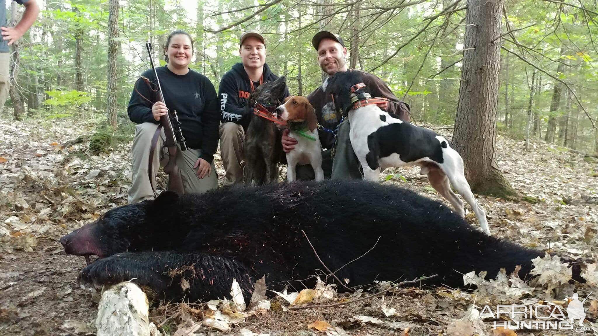 Maine Bear Hunt