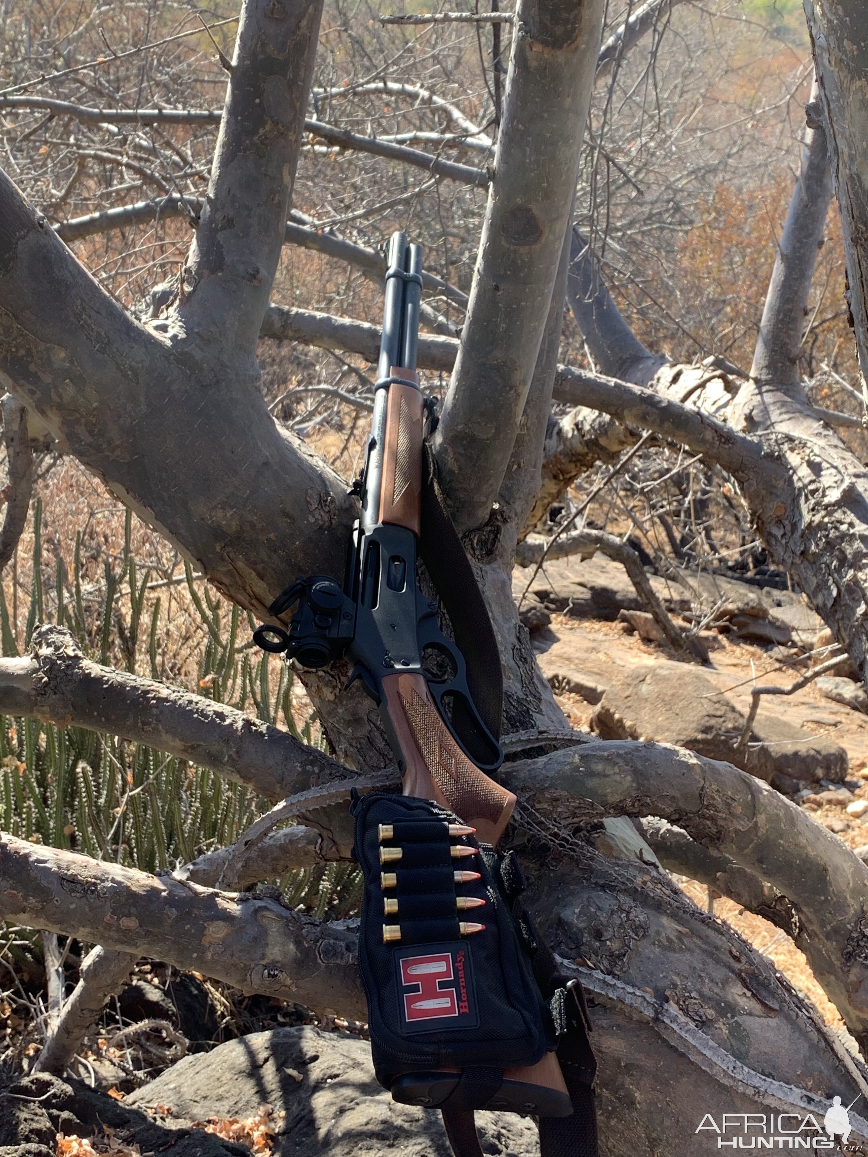 Marlin 336 Y Rifle in 30-30 Win