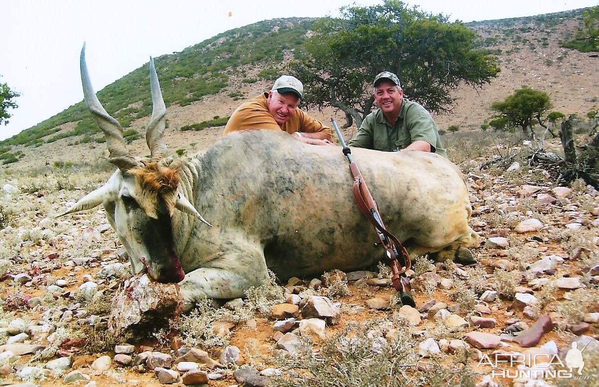 Massive Eland Bull, PH Lammie