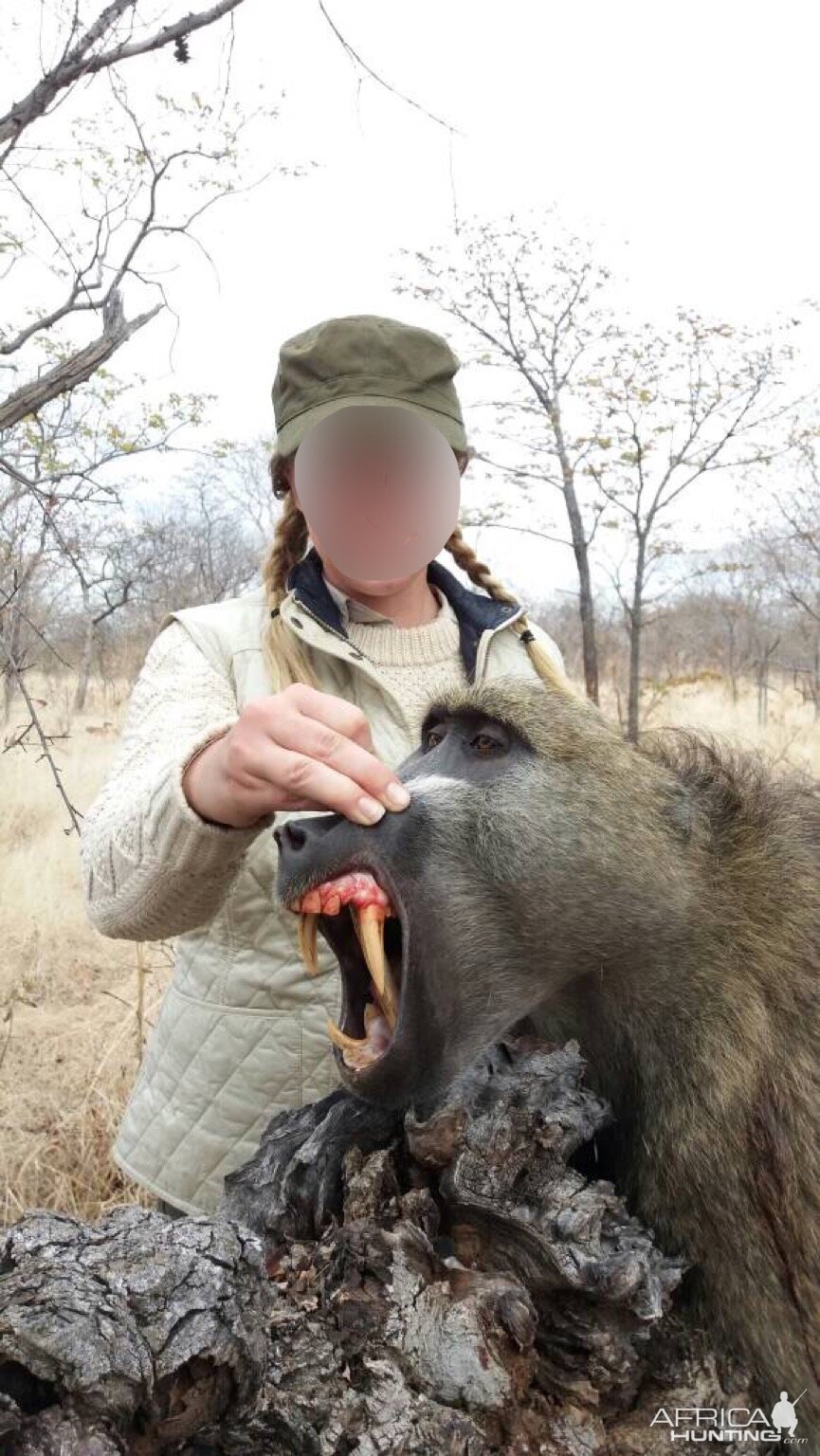 Matetsi Zimbabwe Baboon Hunt