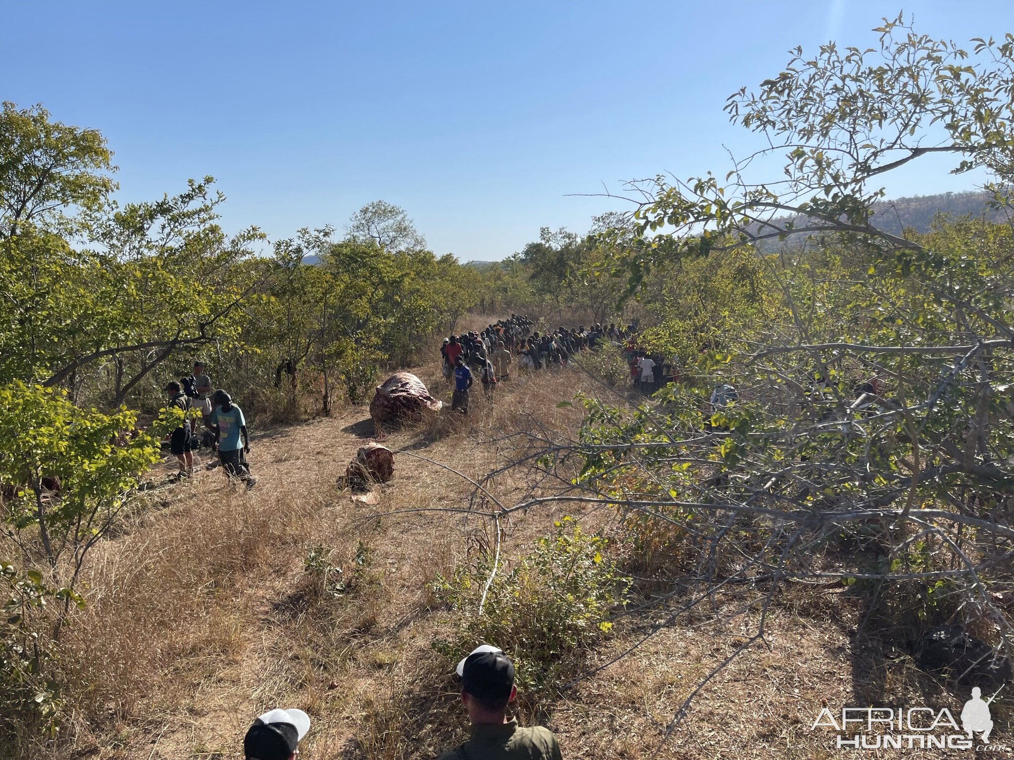 Meat Distribution Between The Local People
