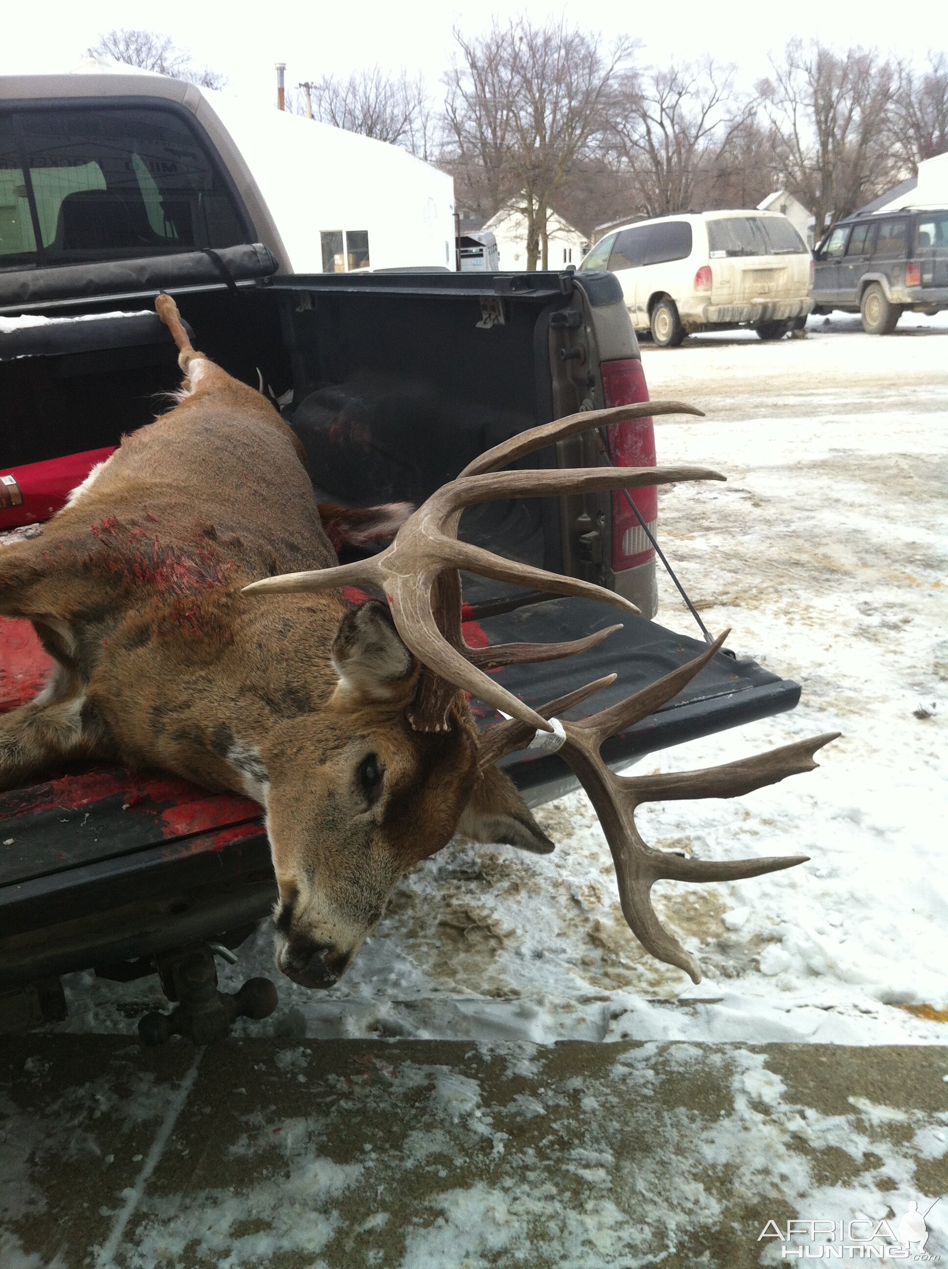 Missouri USA Hunting White-tailed Deer