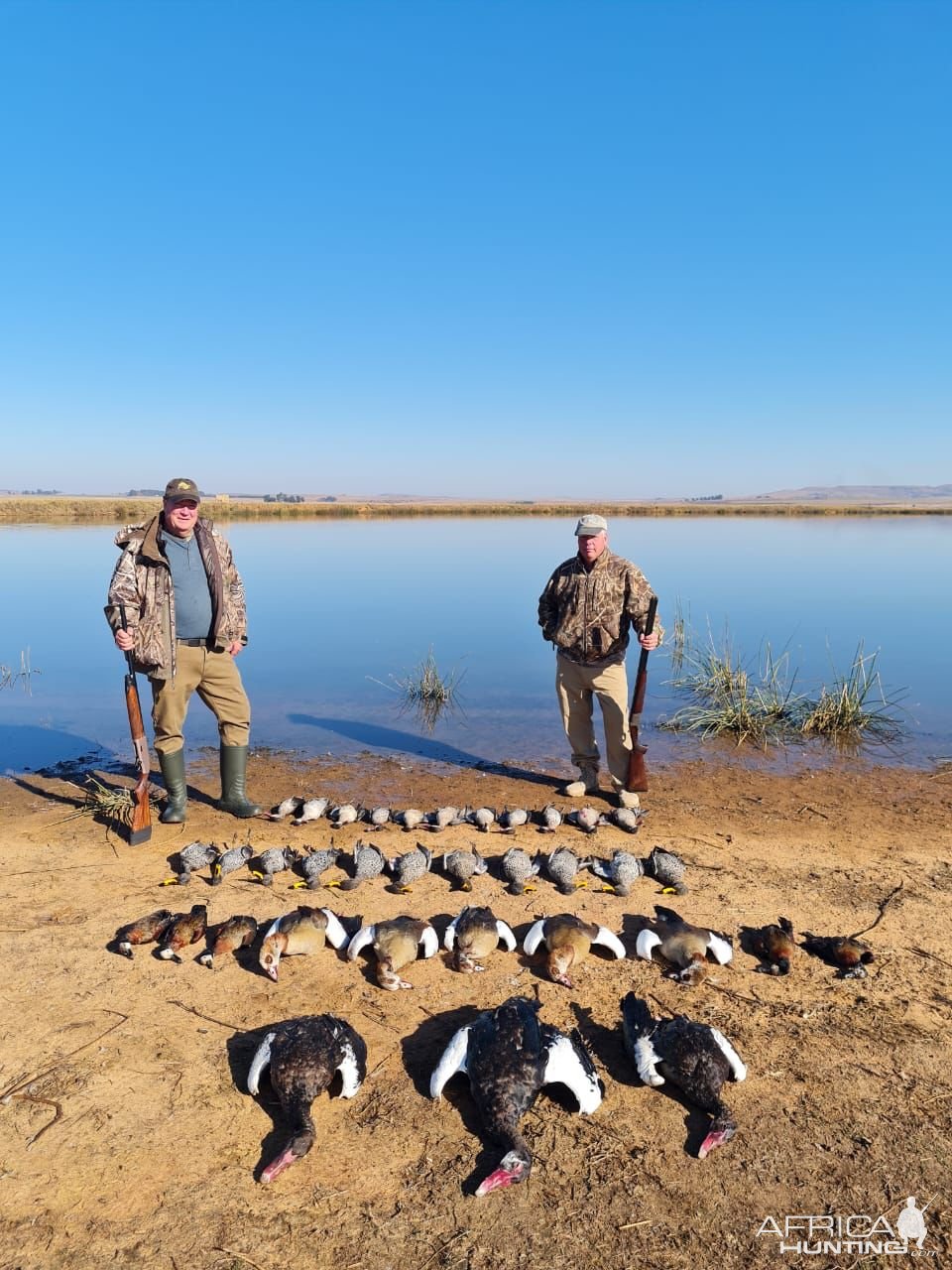 Mixed bag waterfowl shooting South Africa