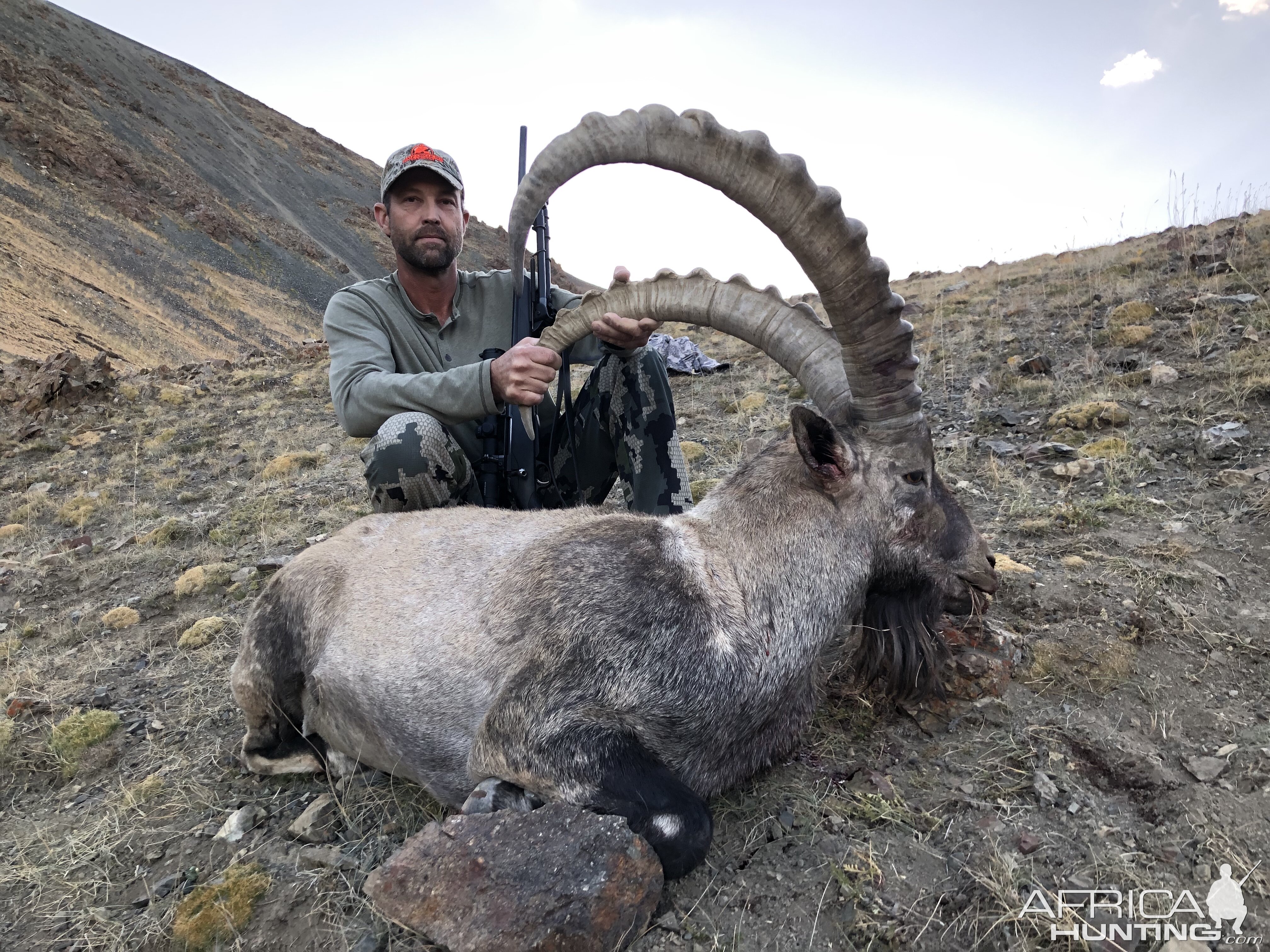 Mongolia Hunting Mongolia Ibex