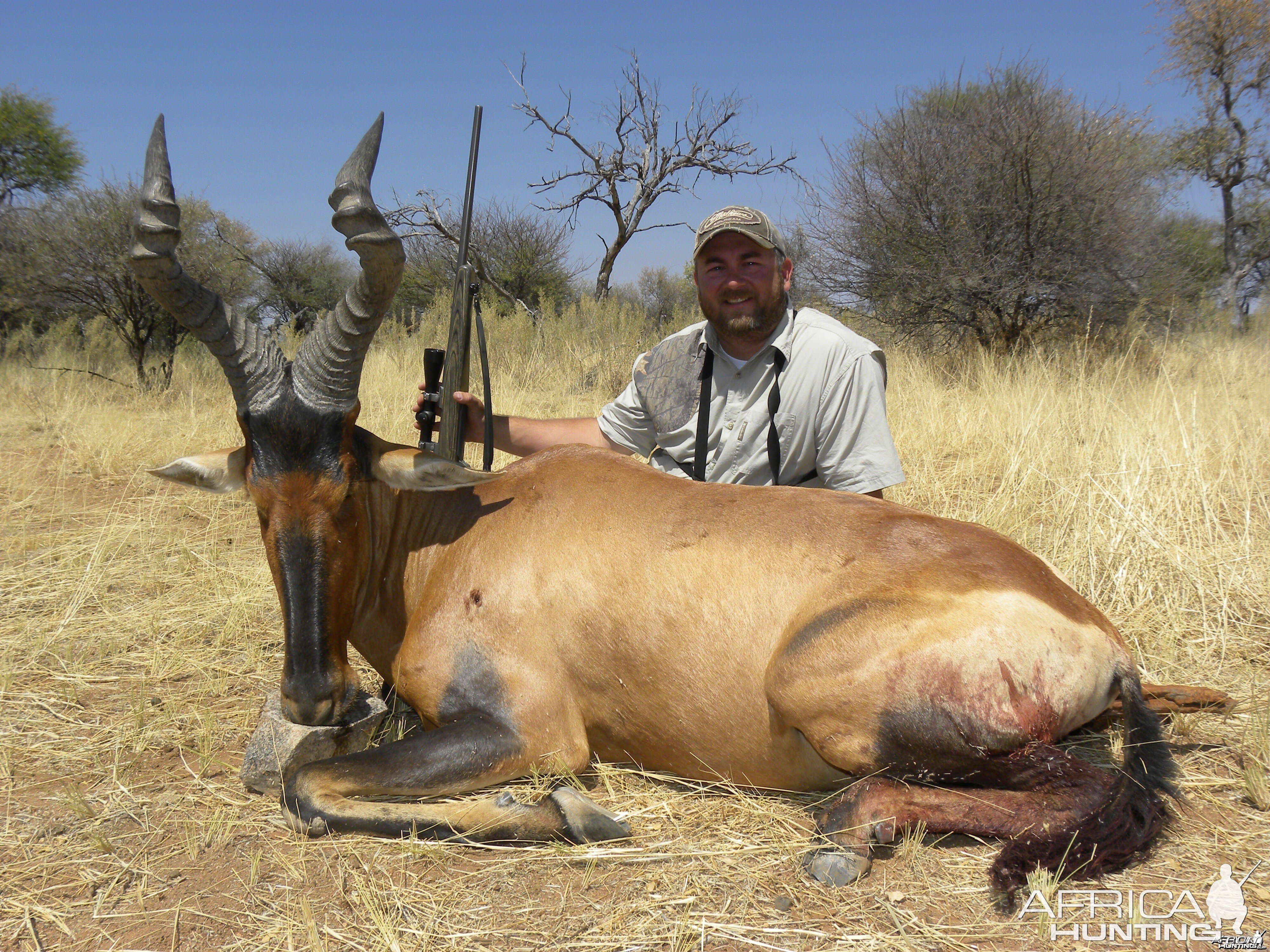 Monster 25 inch Namibian Hartebeest