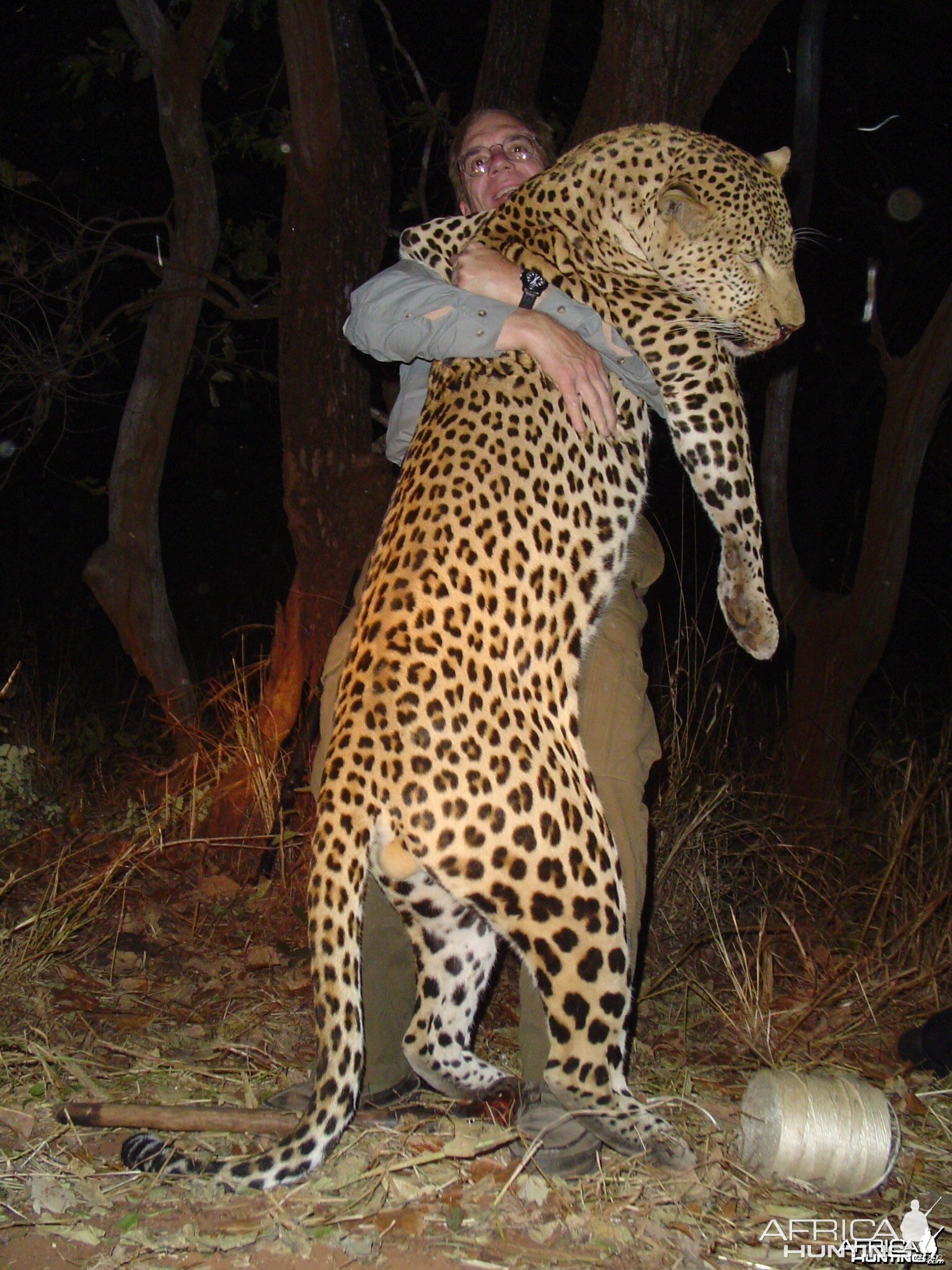 Monster Leopard hunted in Zambia with Prohunt Zambia