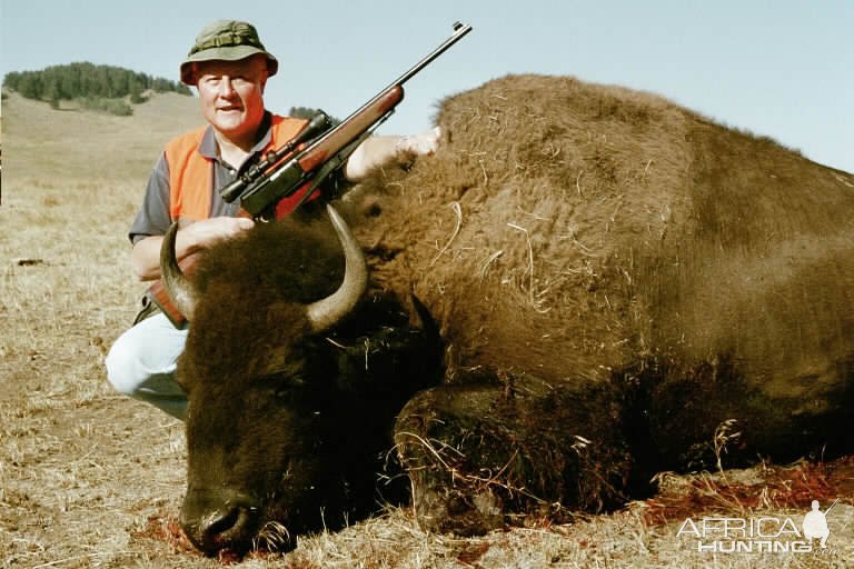 Montana Bison Hunting