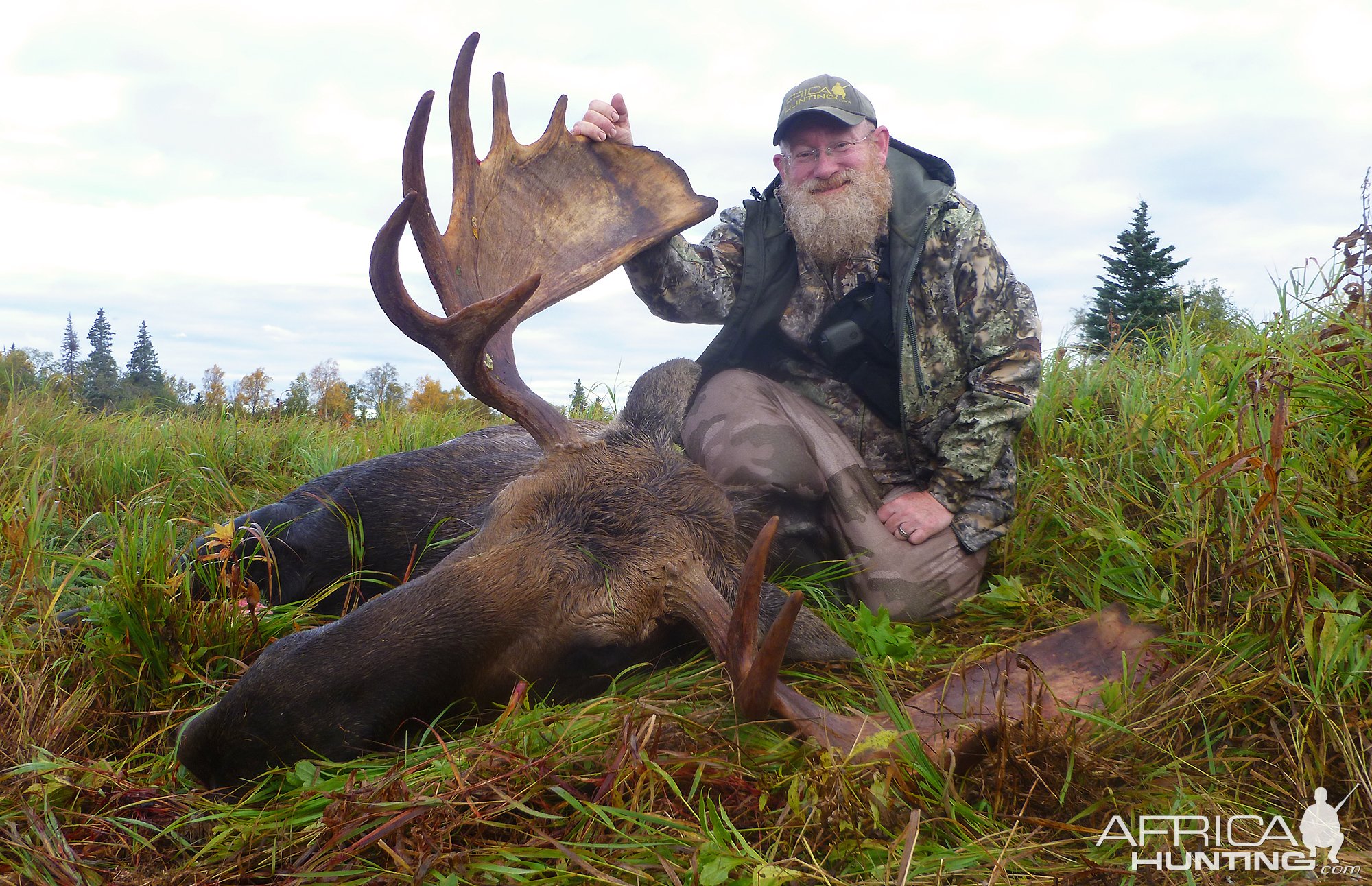 Moose Hunt Alaska