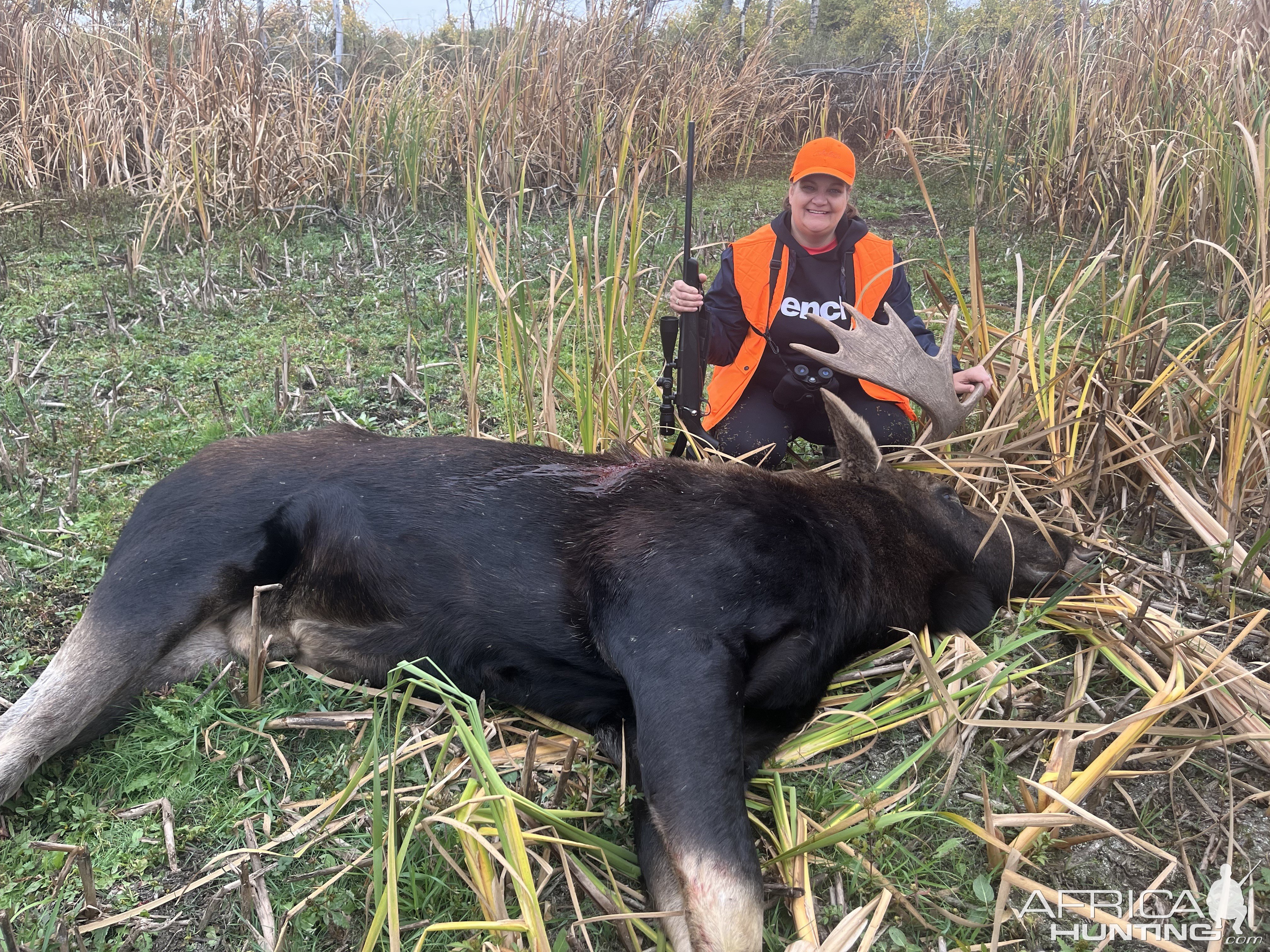 Moose Hunting Canada