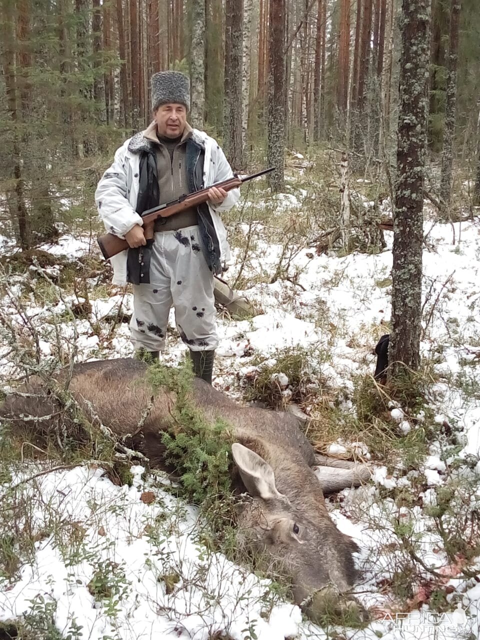 Moose Hunting Russia