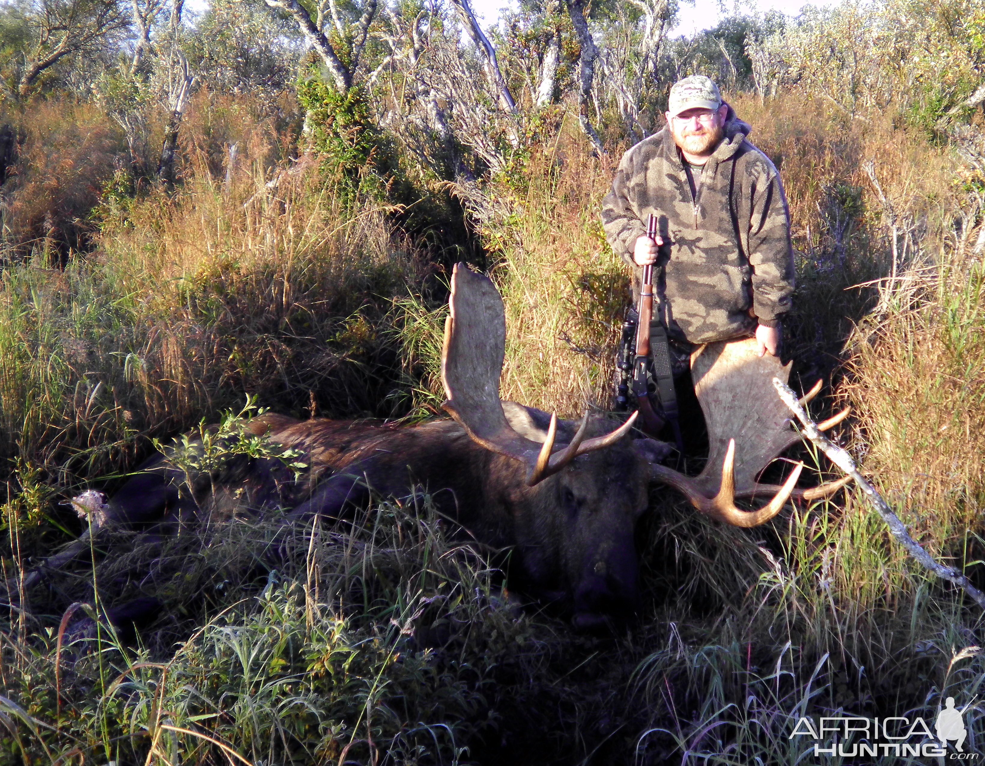 Moose Hunting