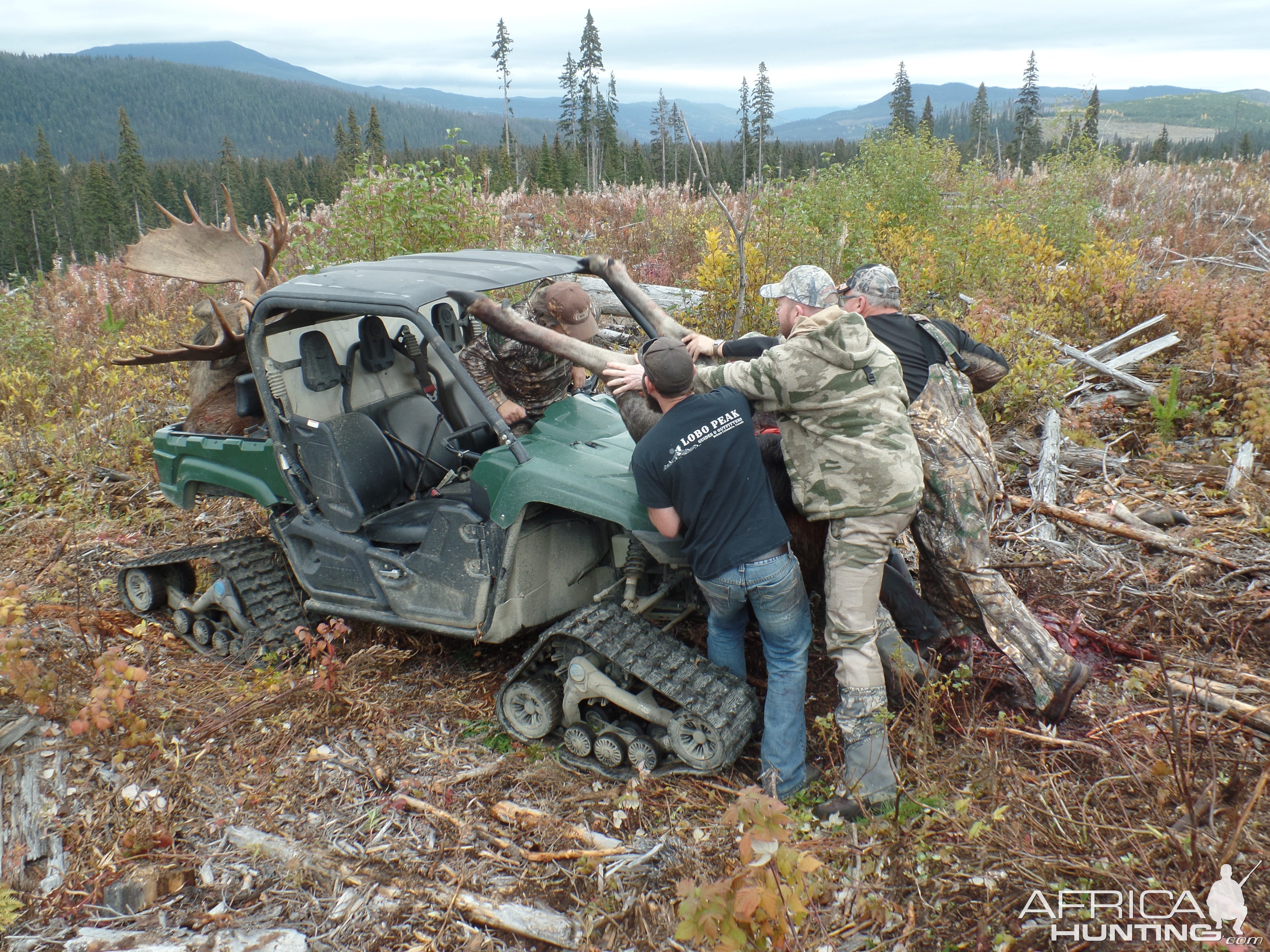 Moose Hunting