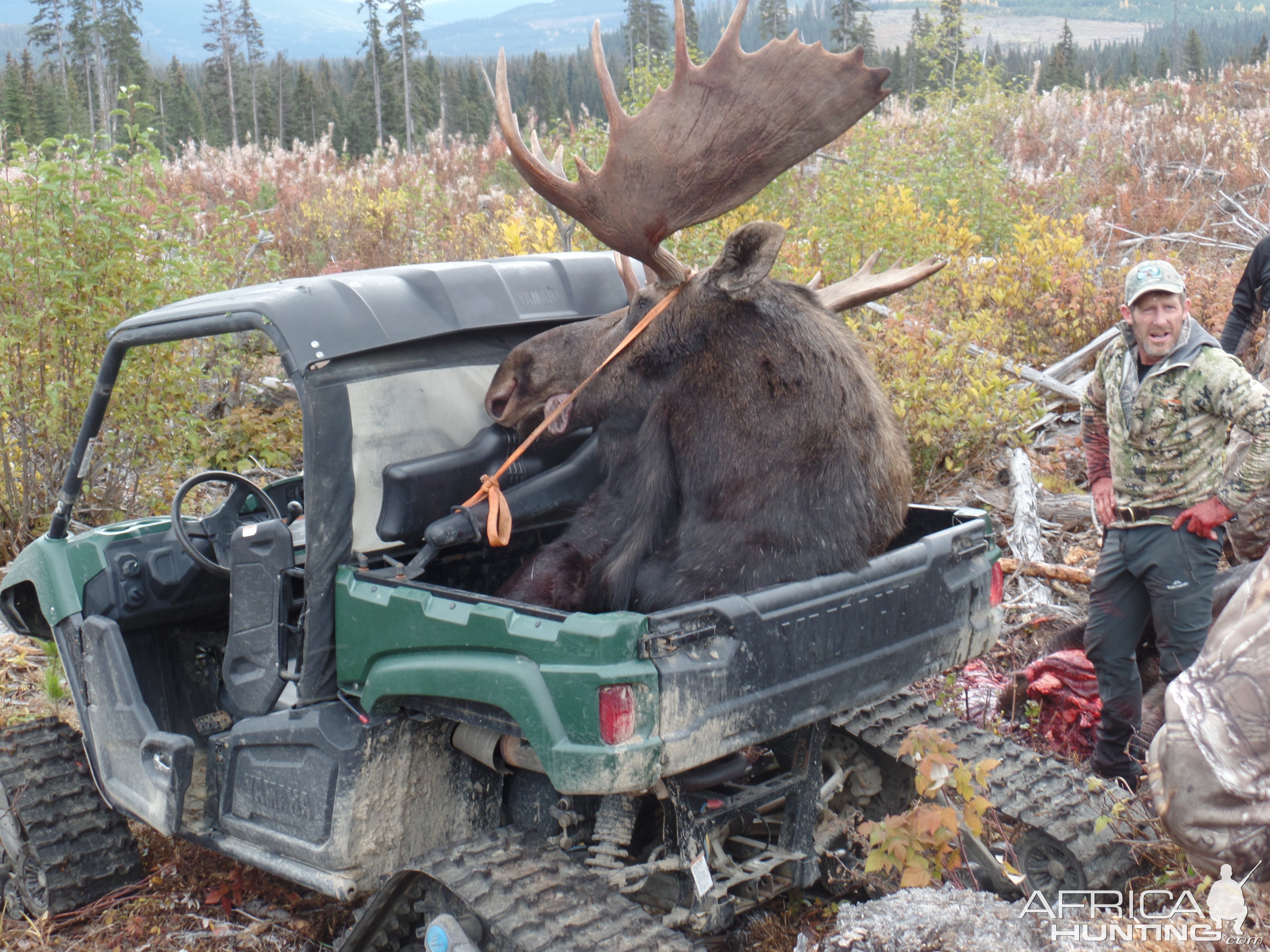 Moose Hunting