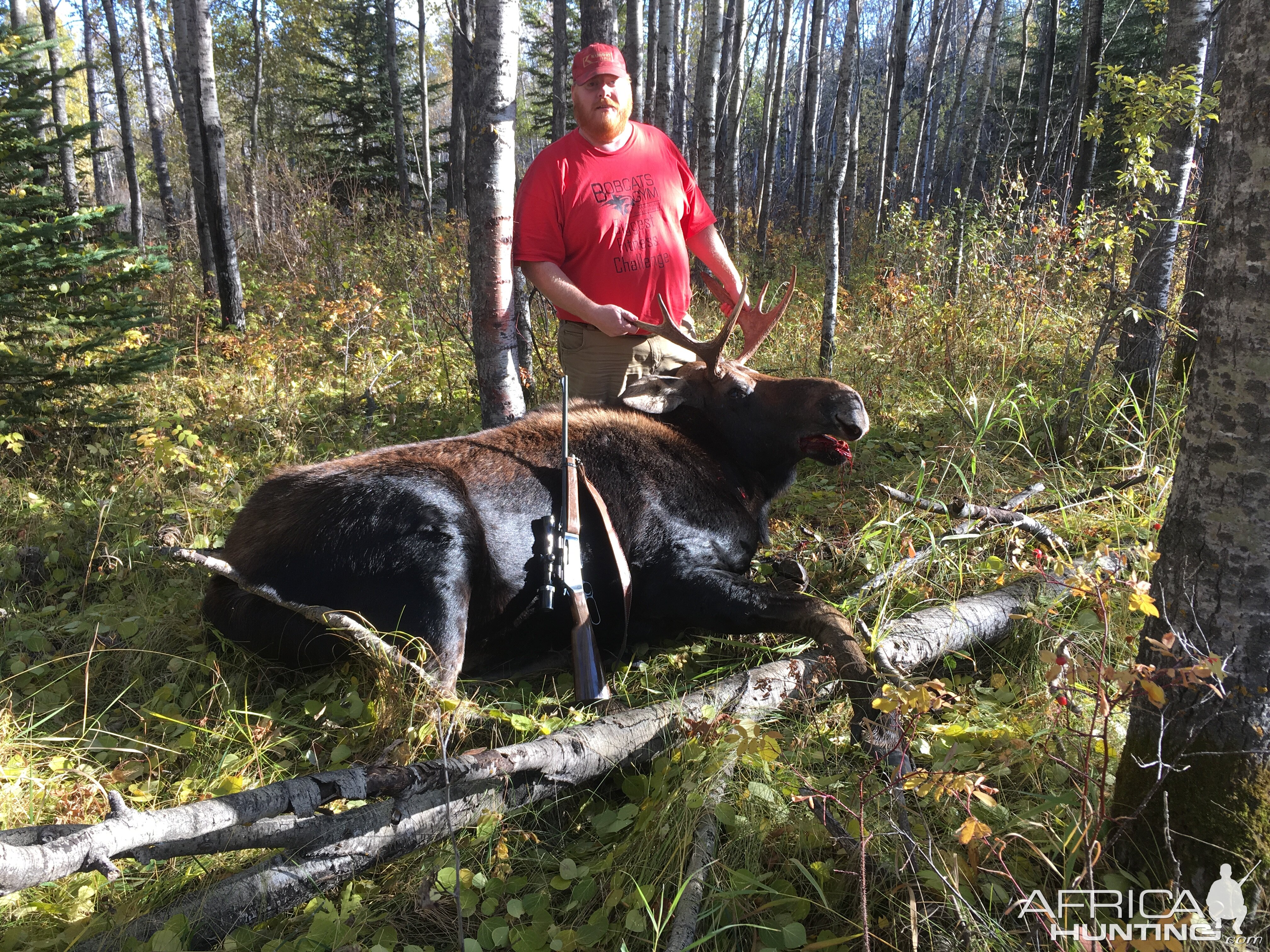 Moose Hunting