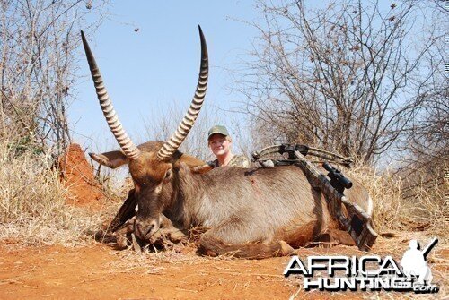 Motsomi Safaris - Waterbuck