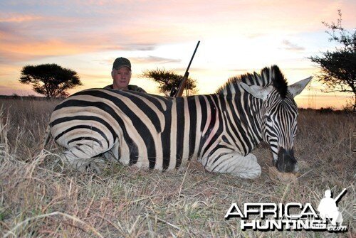 Motsomi Safaris - Zebra