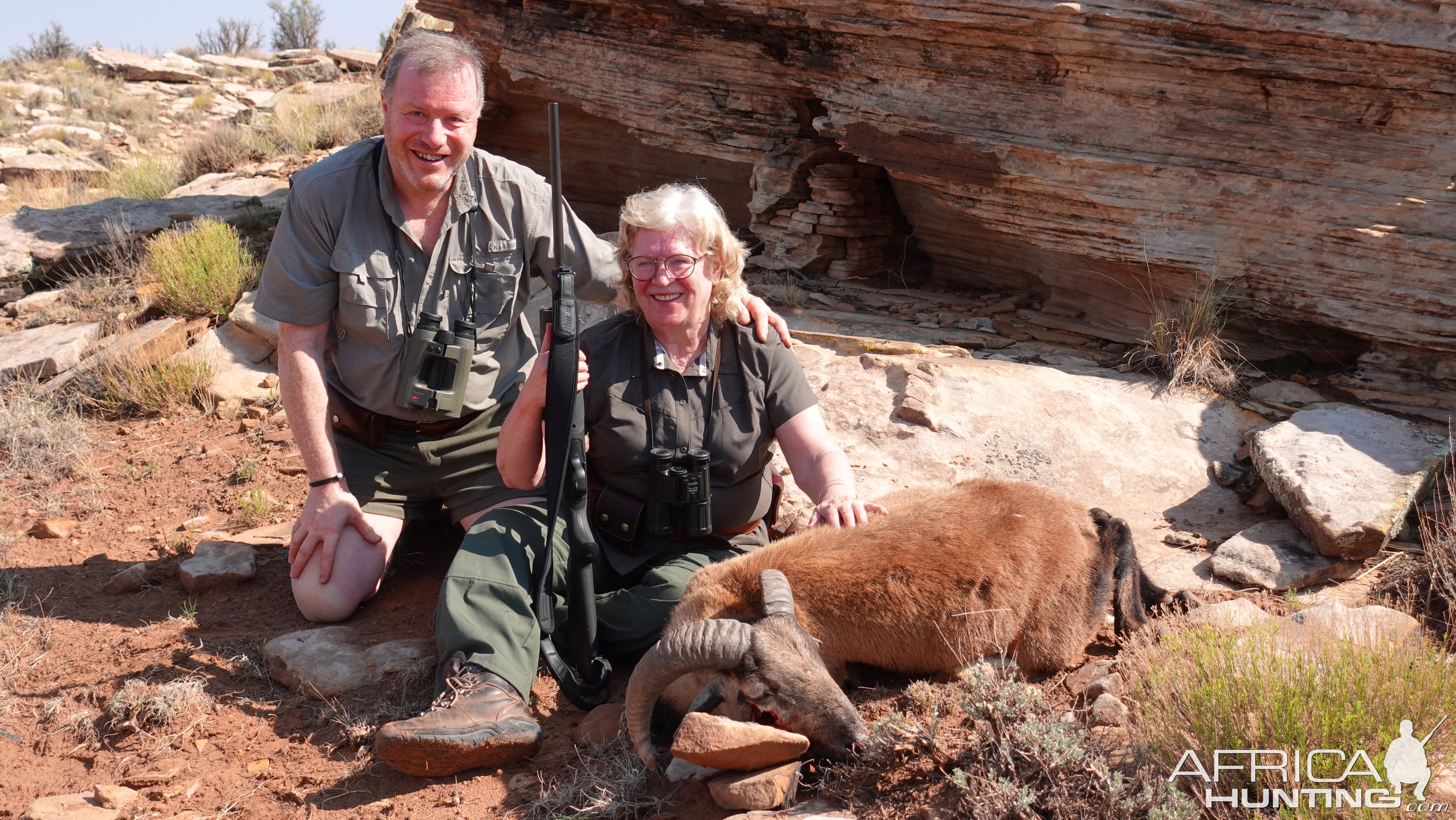 Mouflon Hunt