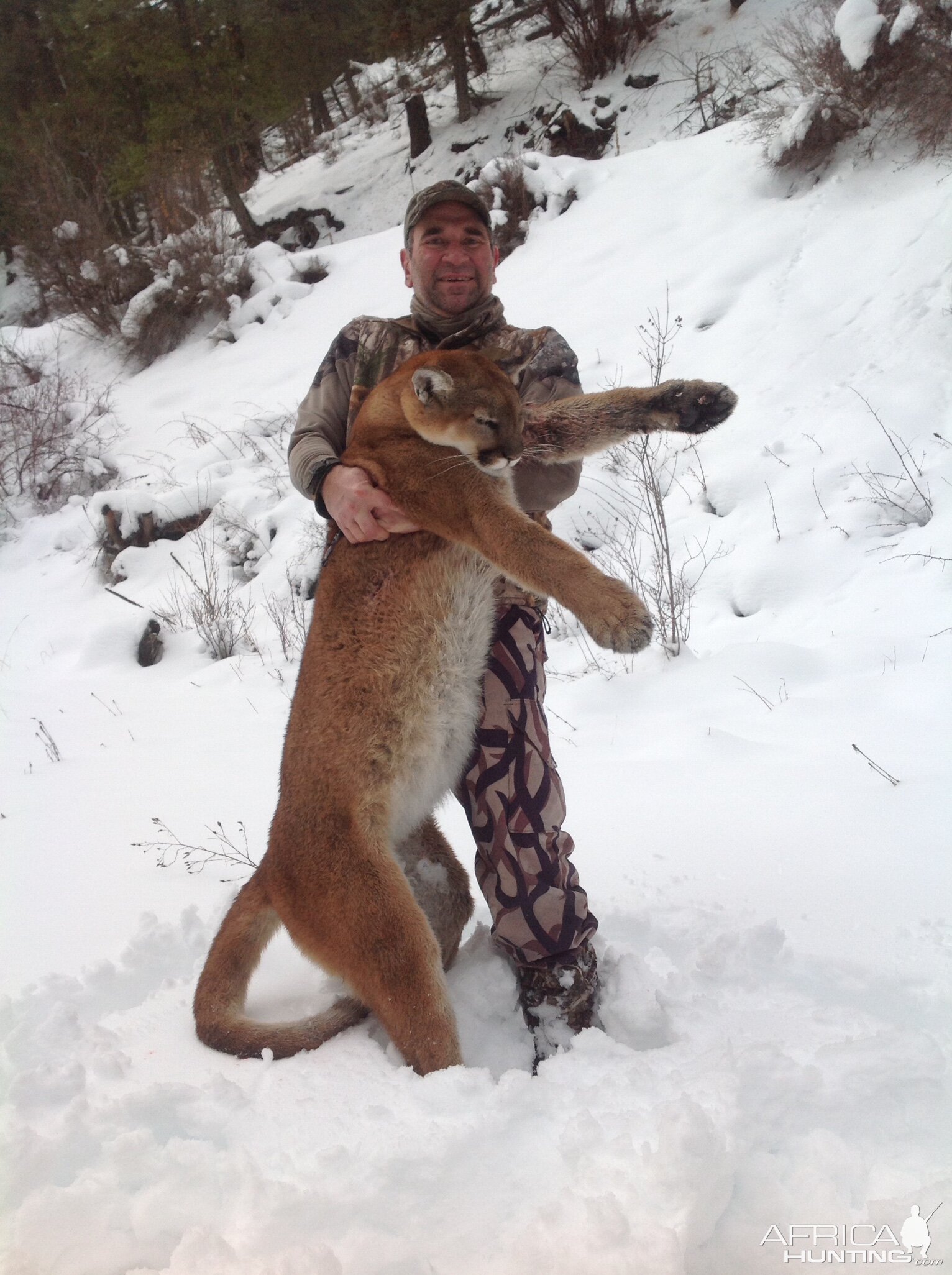 Mountain Lion Hunt