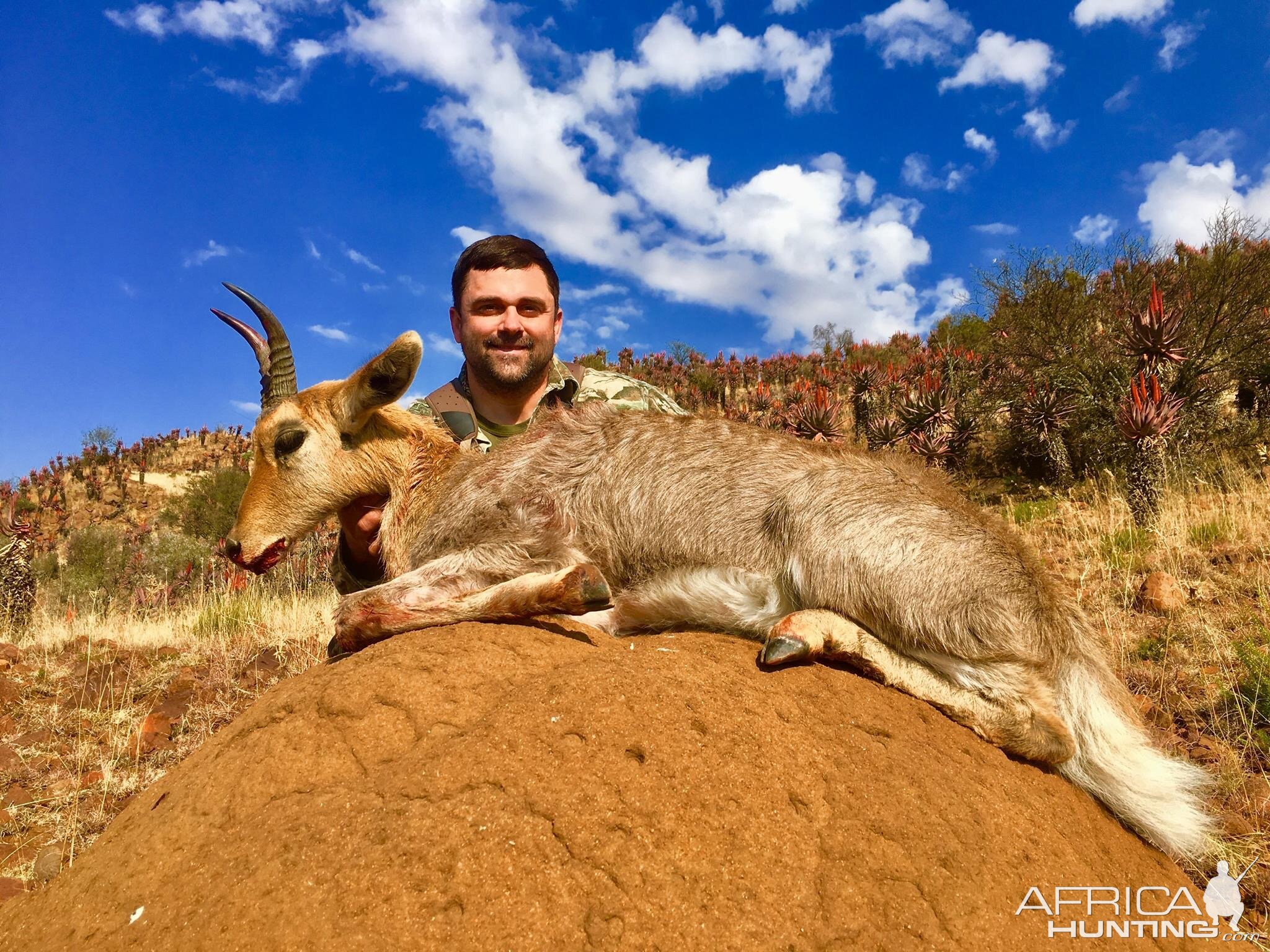 Mountain Reedbuck Bow Hunting South Africa