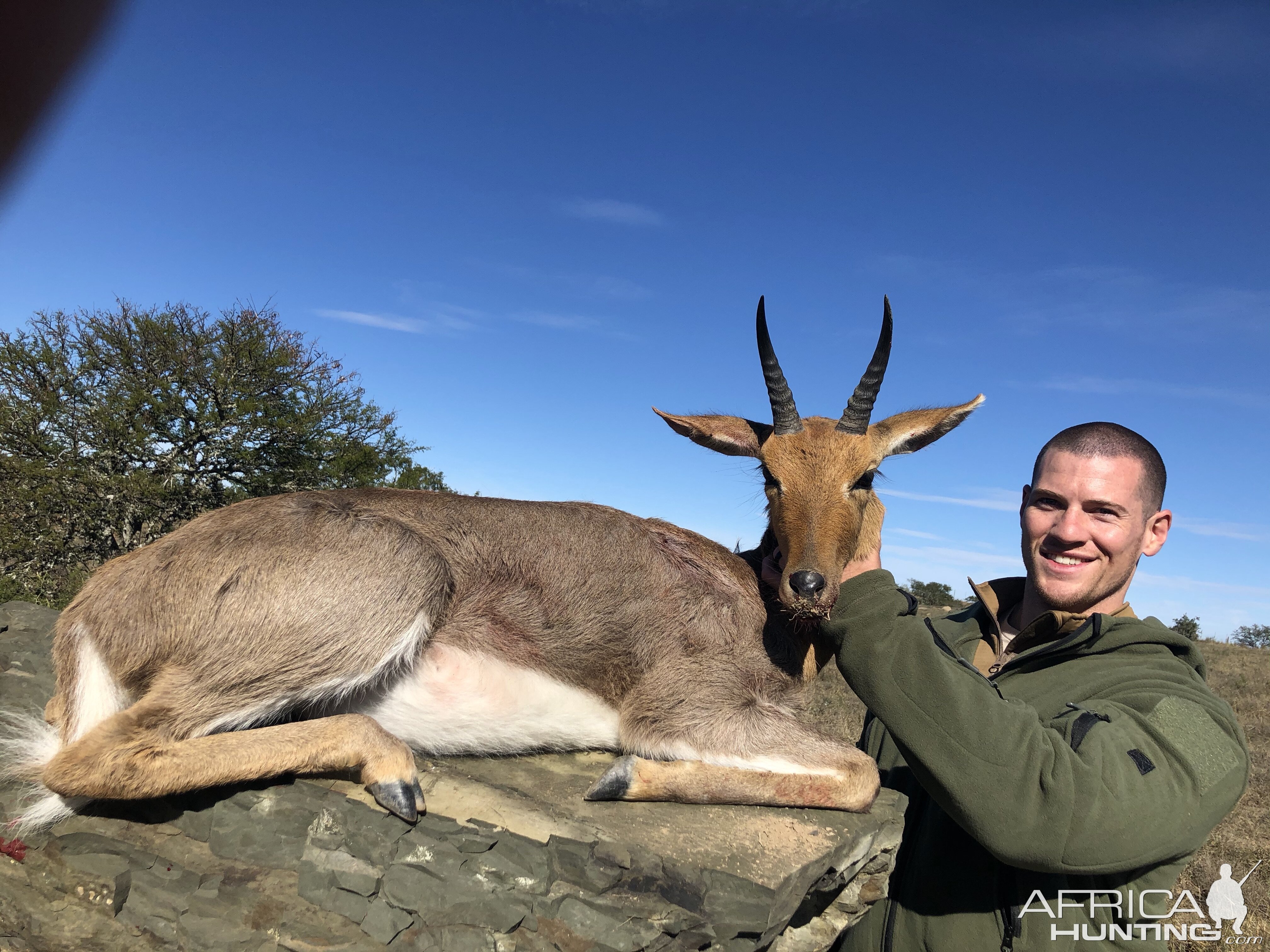 Mountain Reedbuck Hunting Eastern Cape South Africa