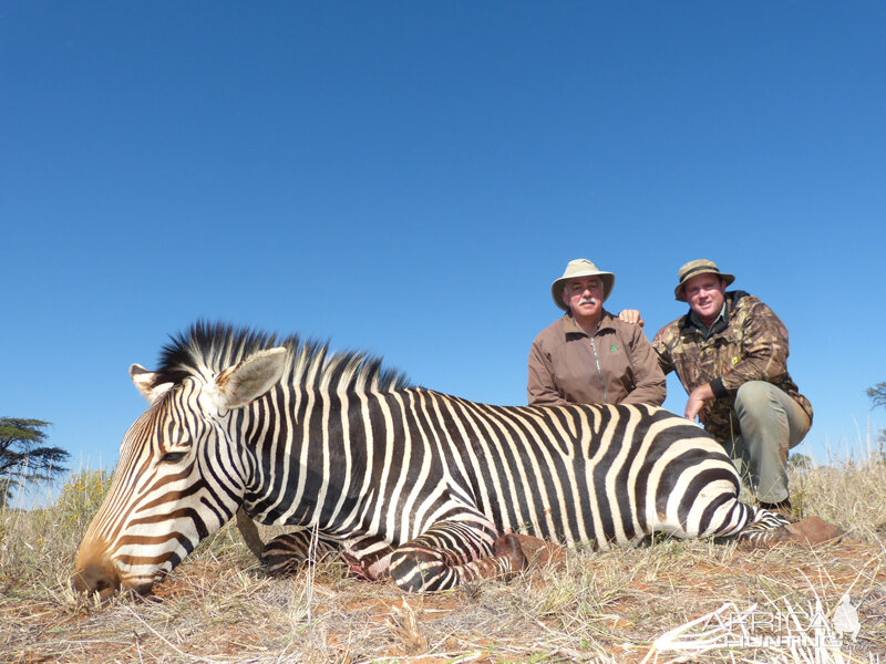 Mountain Zebra hunt with Wintershoek Johnny Vivier Safaris