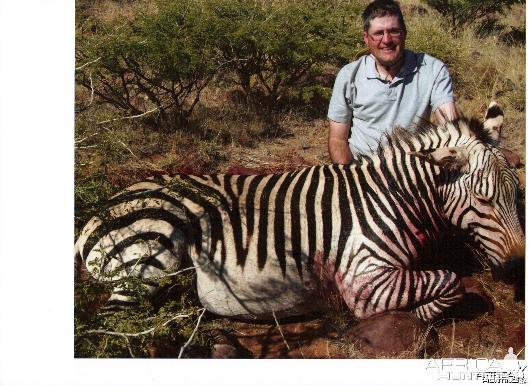 Mountain Zebra Namibia