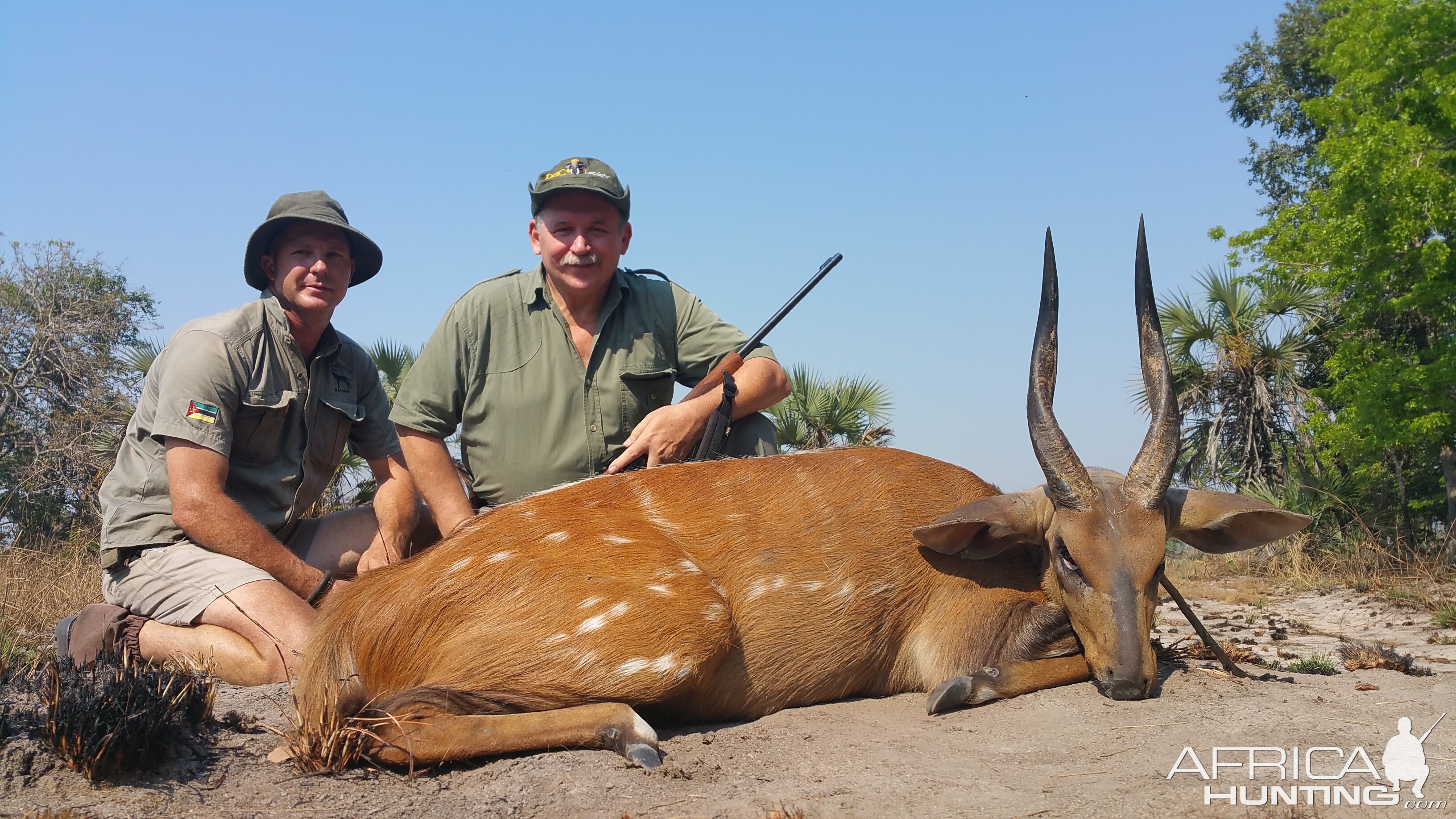 Mozambique Hunt Bushbuck