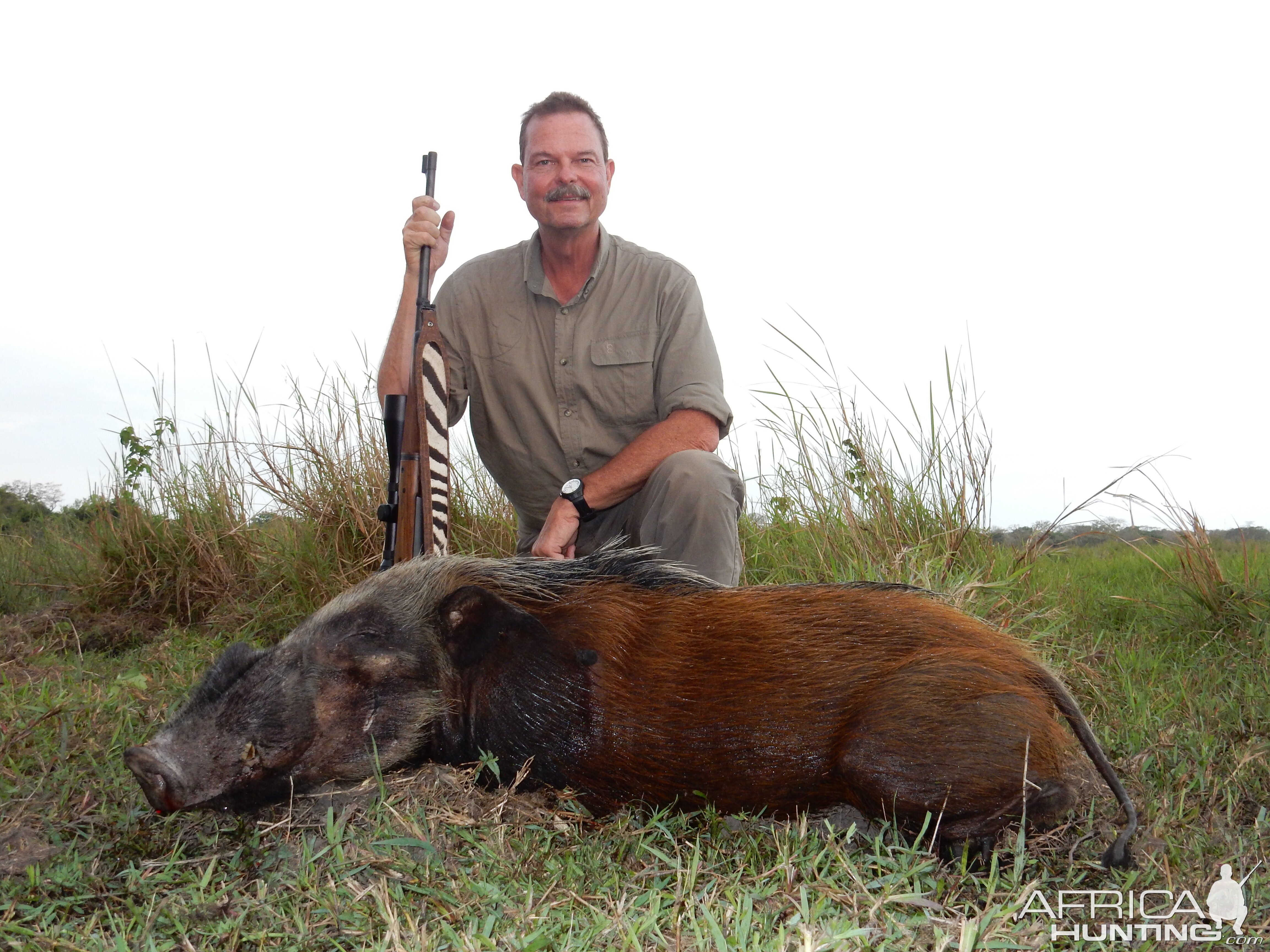 Mozambique Hunt Bushpig