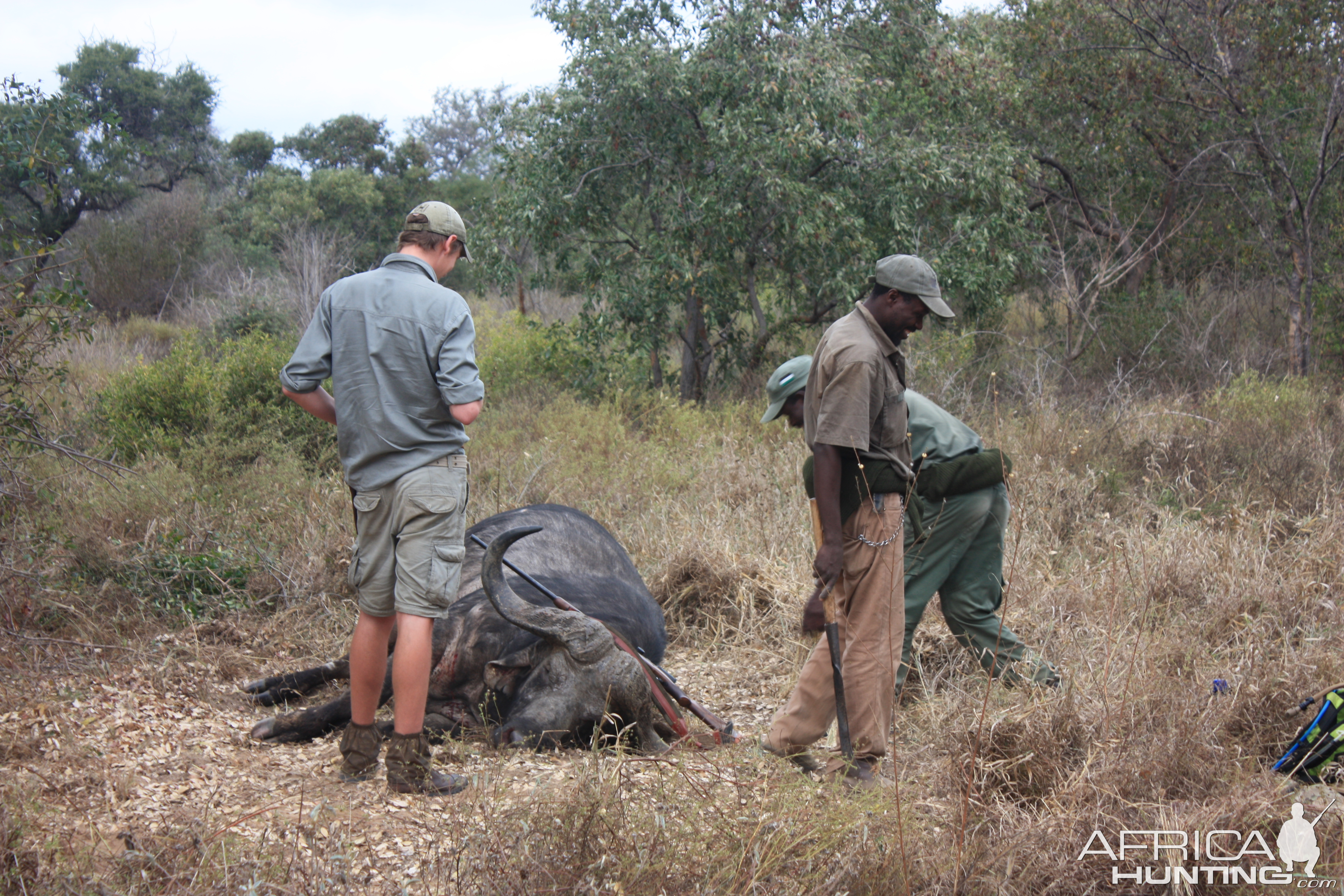 Mozambique Hunt Cape Buffalo