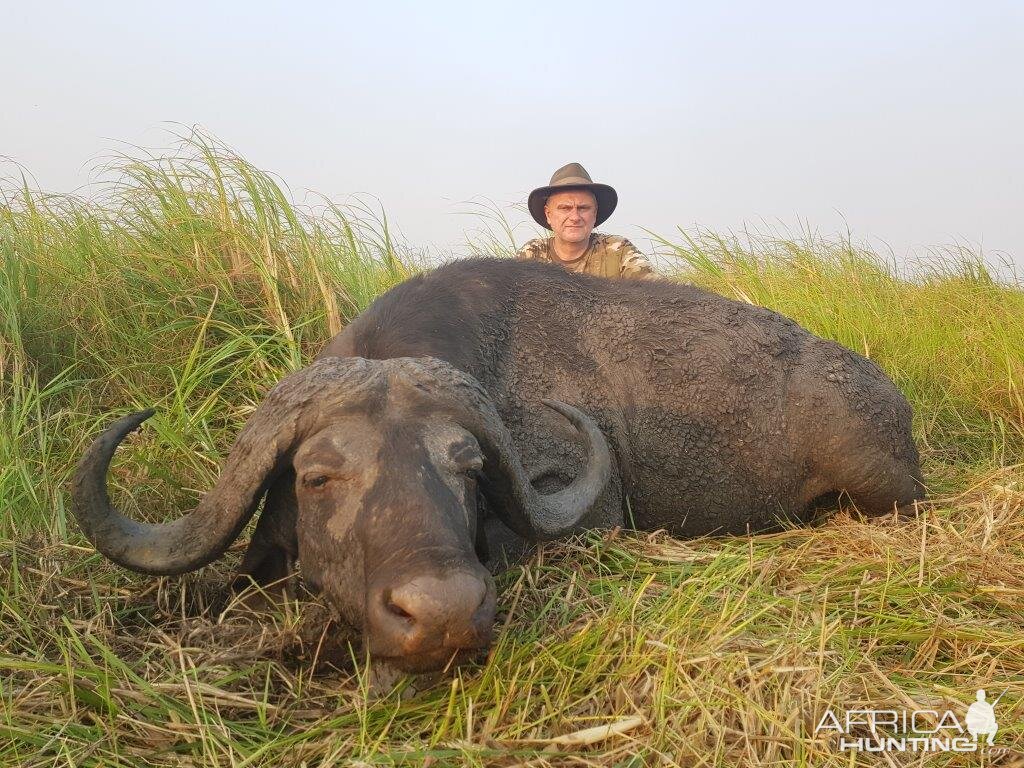 Mozambique Hunt Cape Buffalo