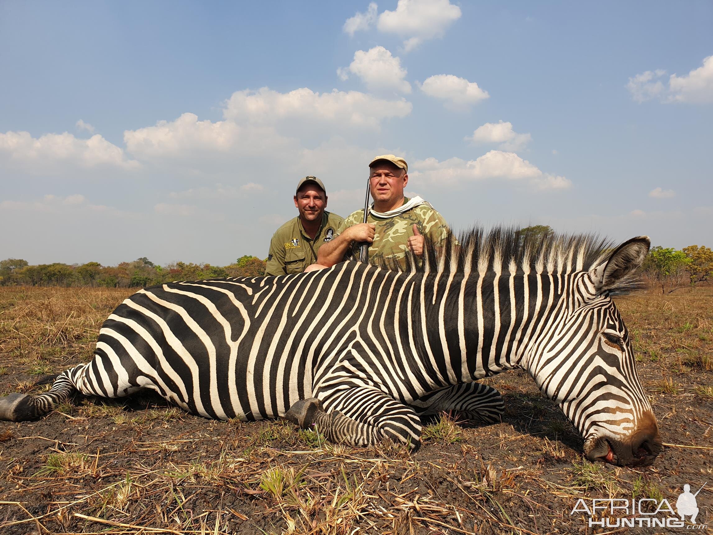 Mozambique Hunt Chapman's Zebra