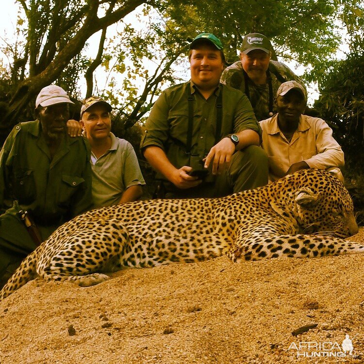 Mozambique Hunt Leopard